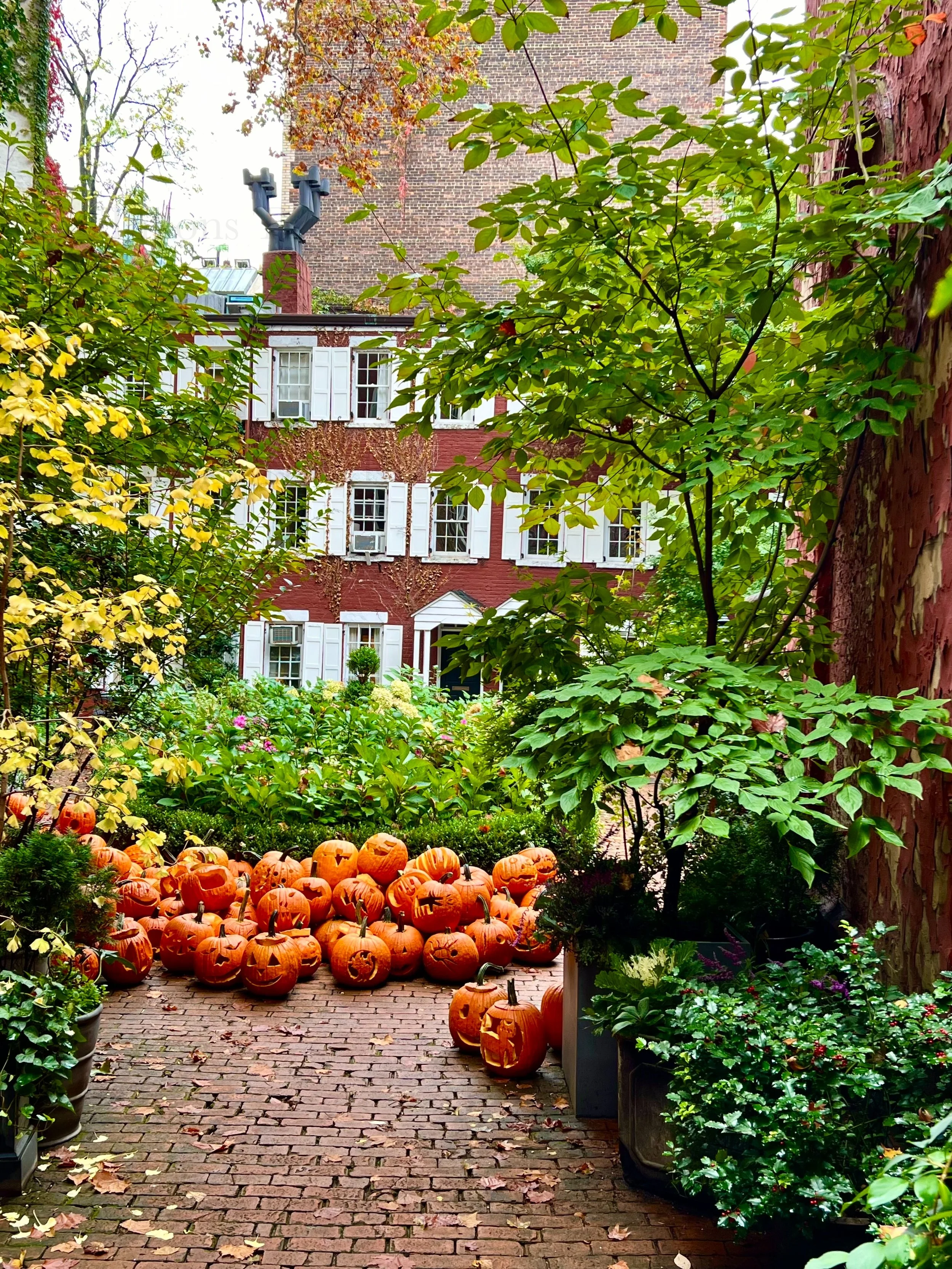 eZy Watermark_23-01-2026_11-19-41-6300PM.jpg