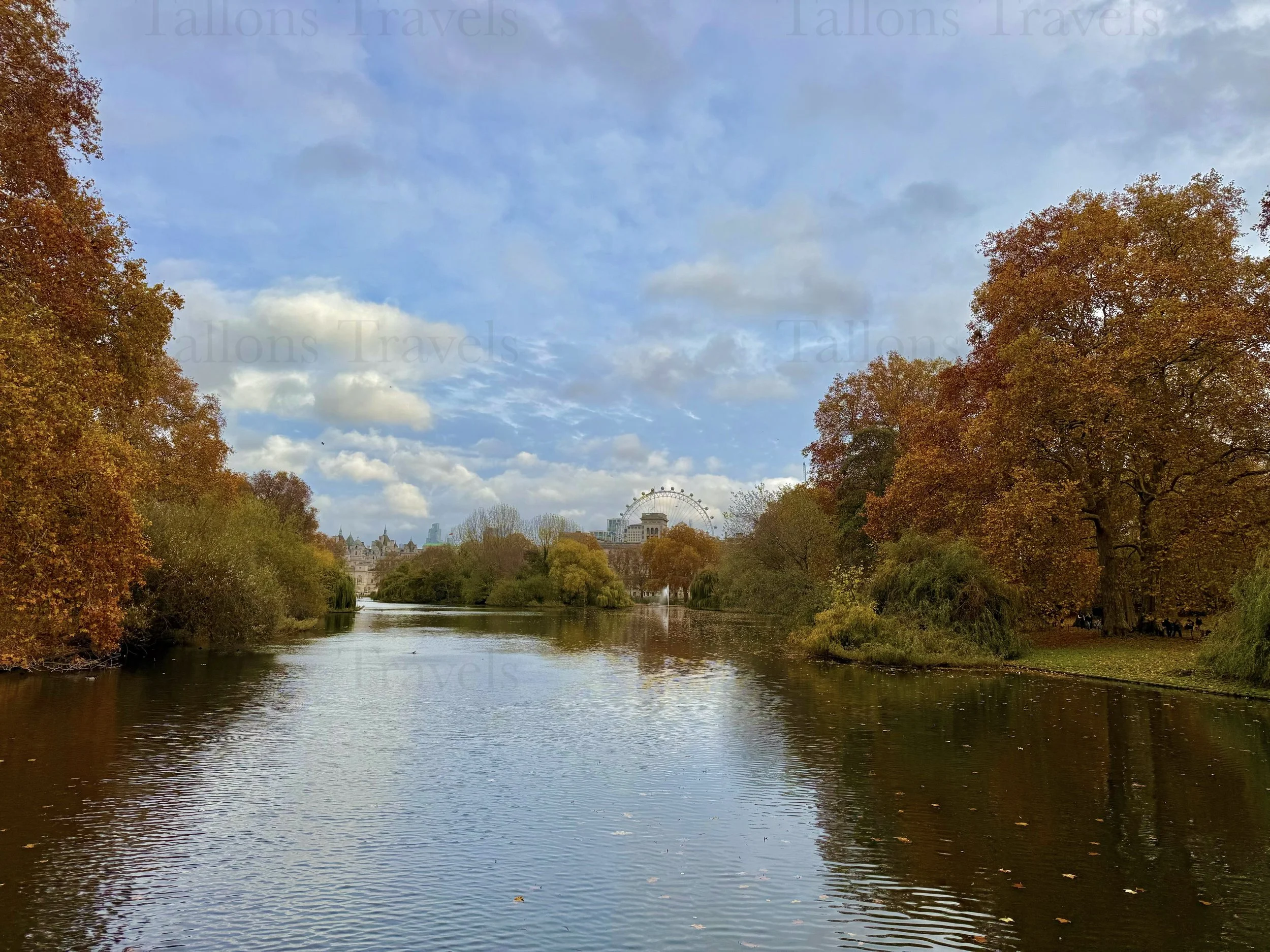 eZy Watermark_23-01-2026_01-43-15-9160PM.jpg