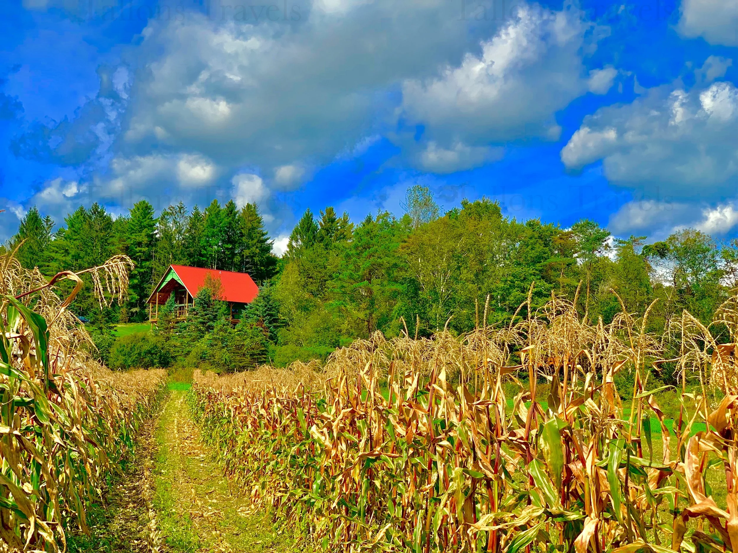 eZy Watermark_27-01-2026_09-59-24-6220PM.jpg