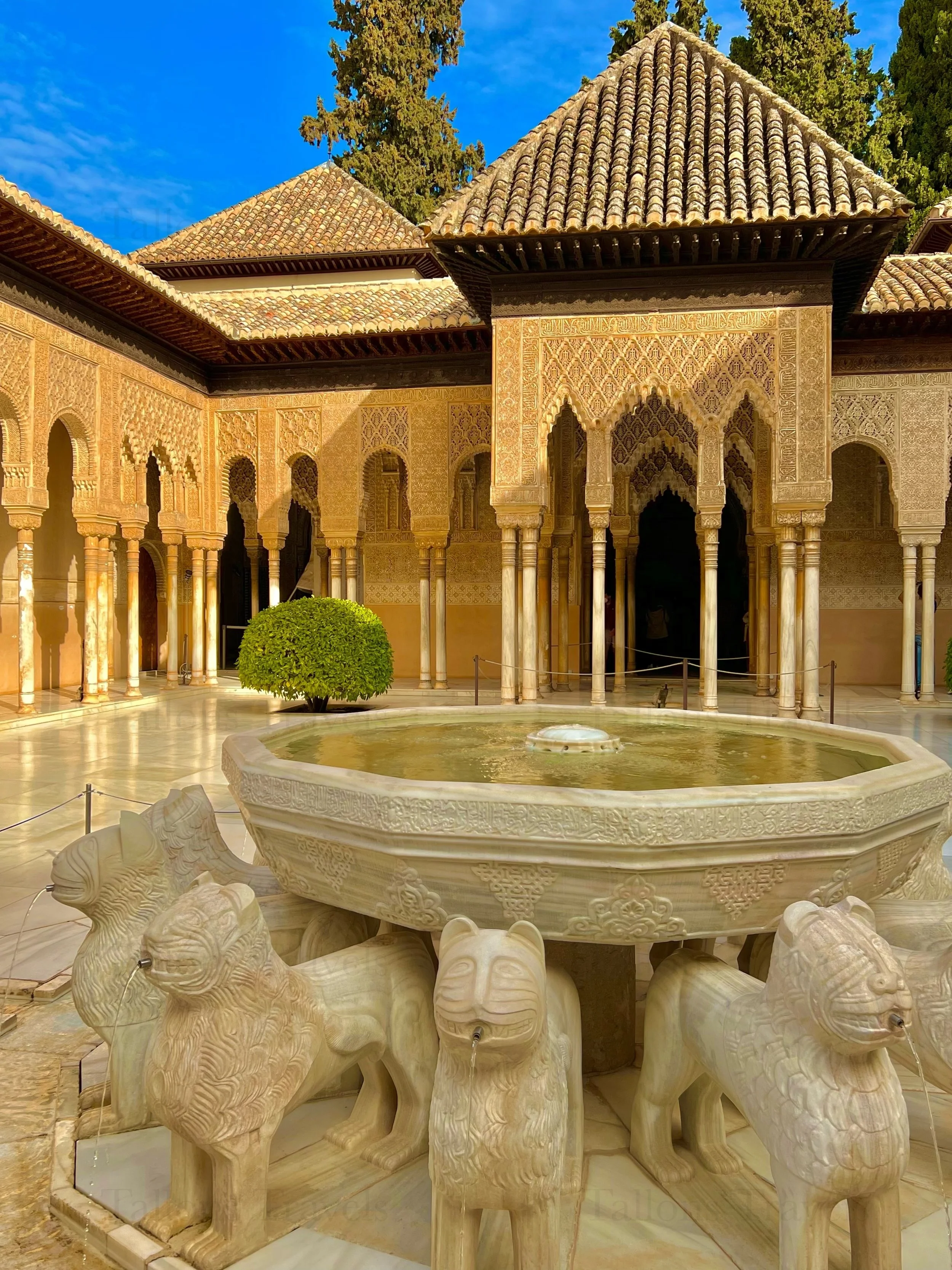 eZy Watermark_27-01-2026_09-21-50-2220PM.jpg