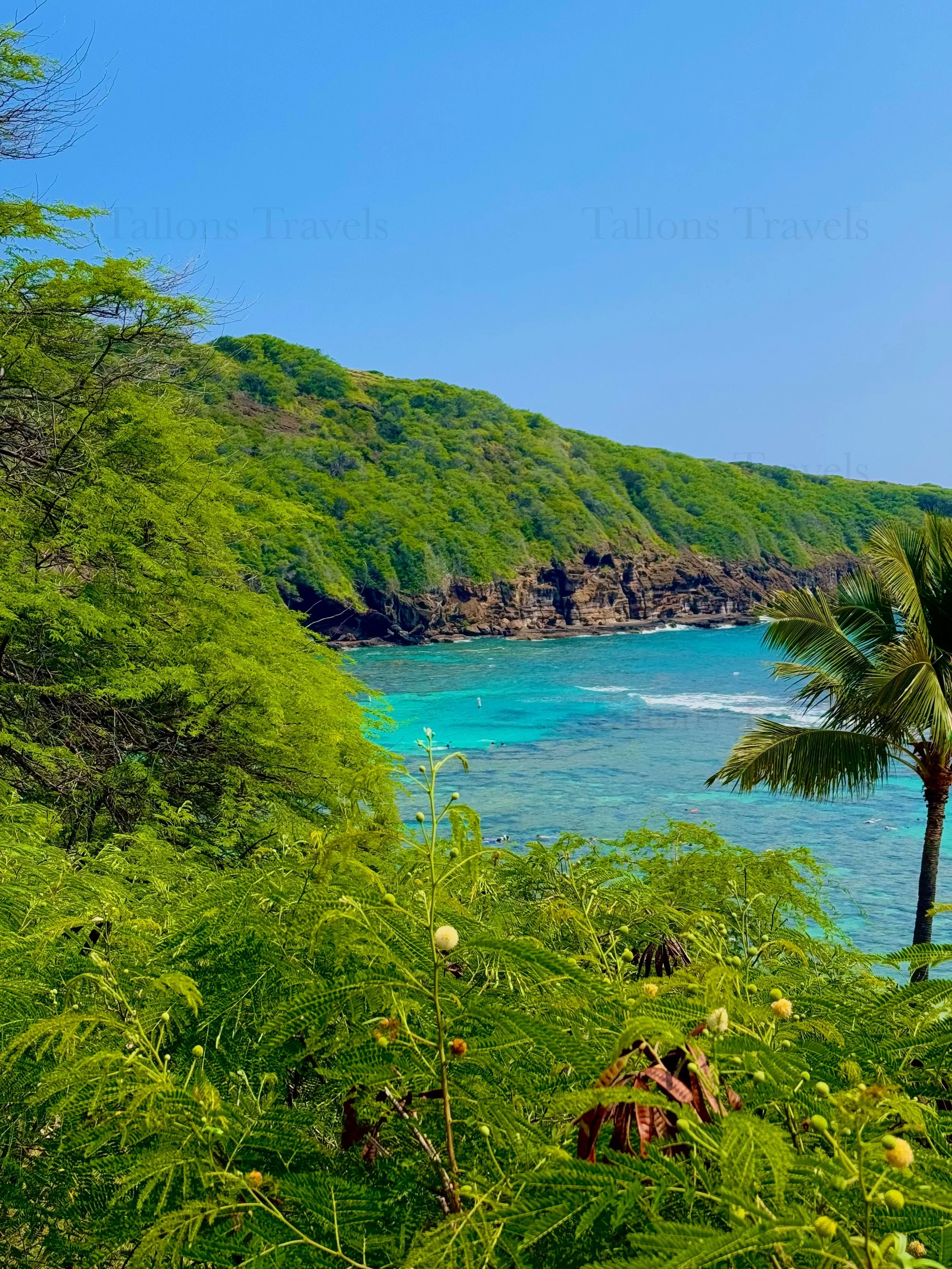 eZy Watermark_23-01-2026_10-19-47-2180PM.jpg