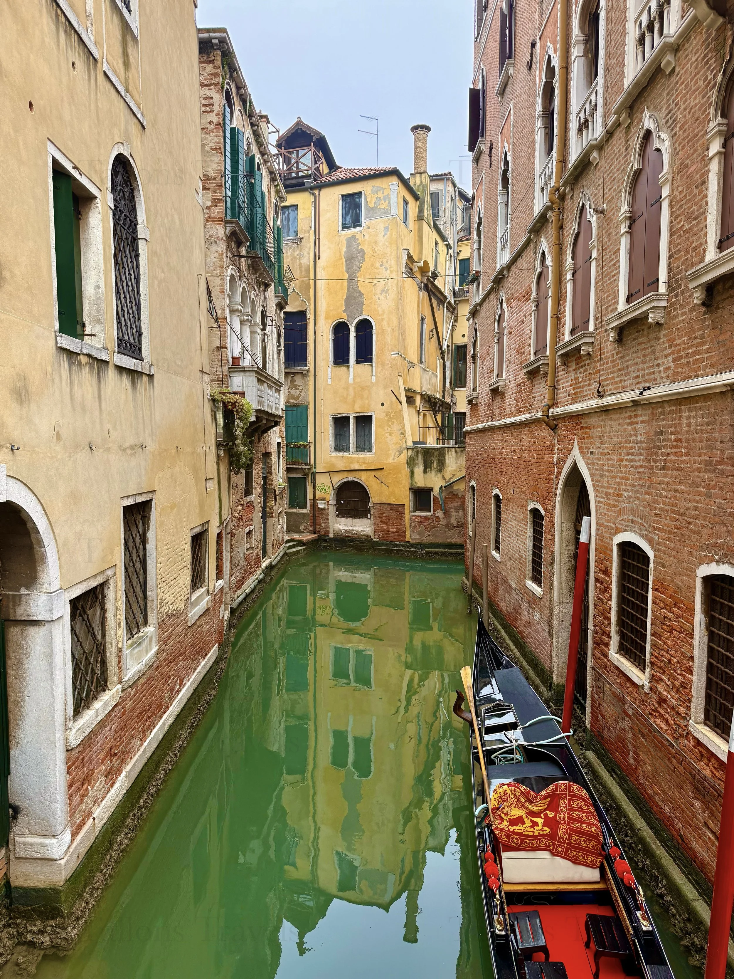 eZy Watermark_04-03-2026_06-24-50-6870PM.jpg