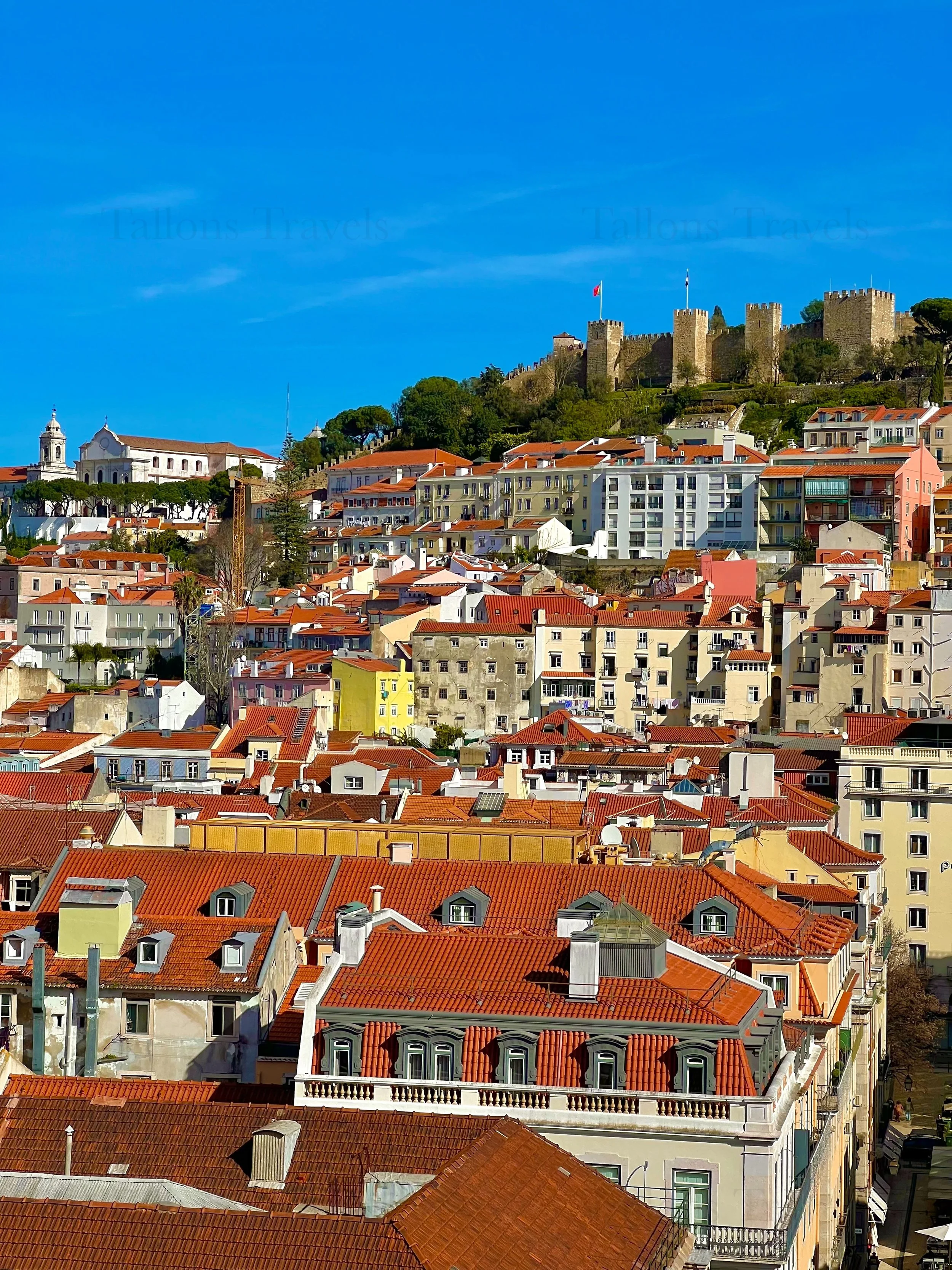 eZy Watermark_23-01-2026_11-03-54-2730PM.jpg