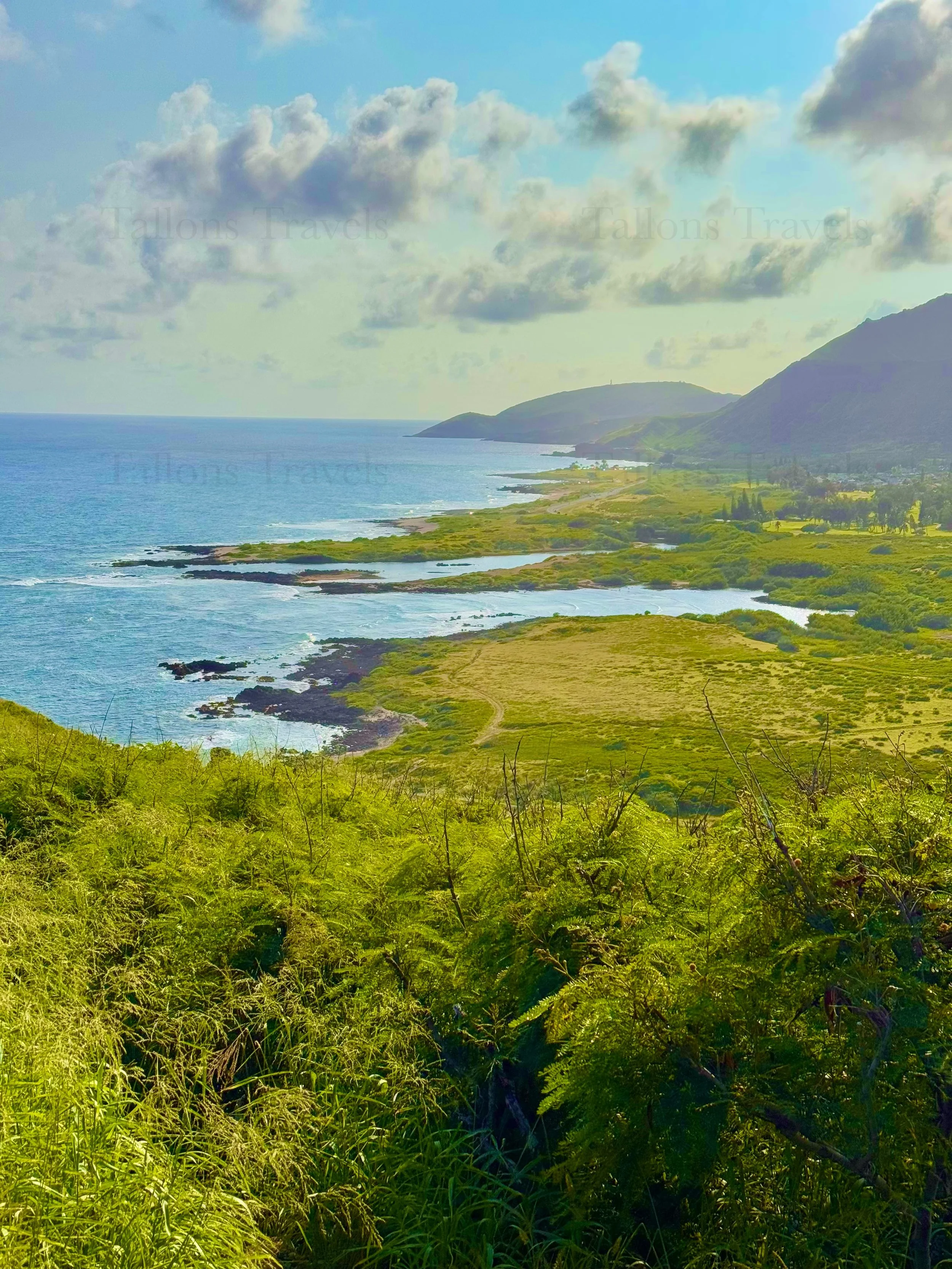 eZy Watermark_23-01-2026_10-20-06-1730PM.jpg