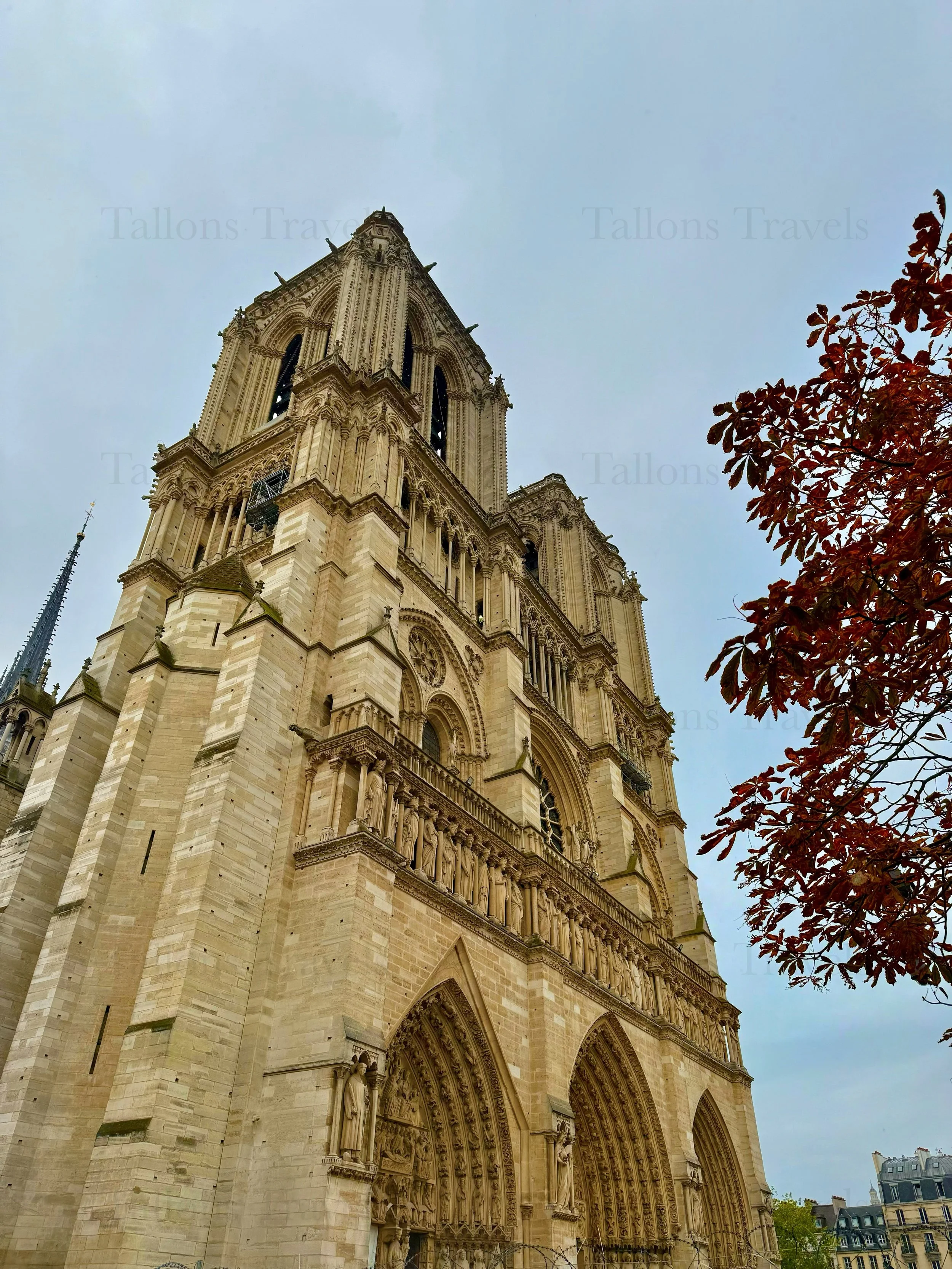 eZy Watermark_23-01-2026_09-42-18-8420PM.jpg