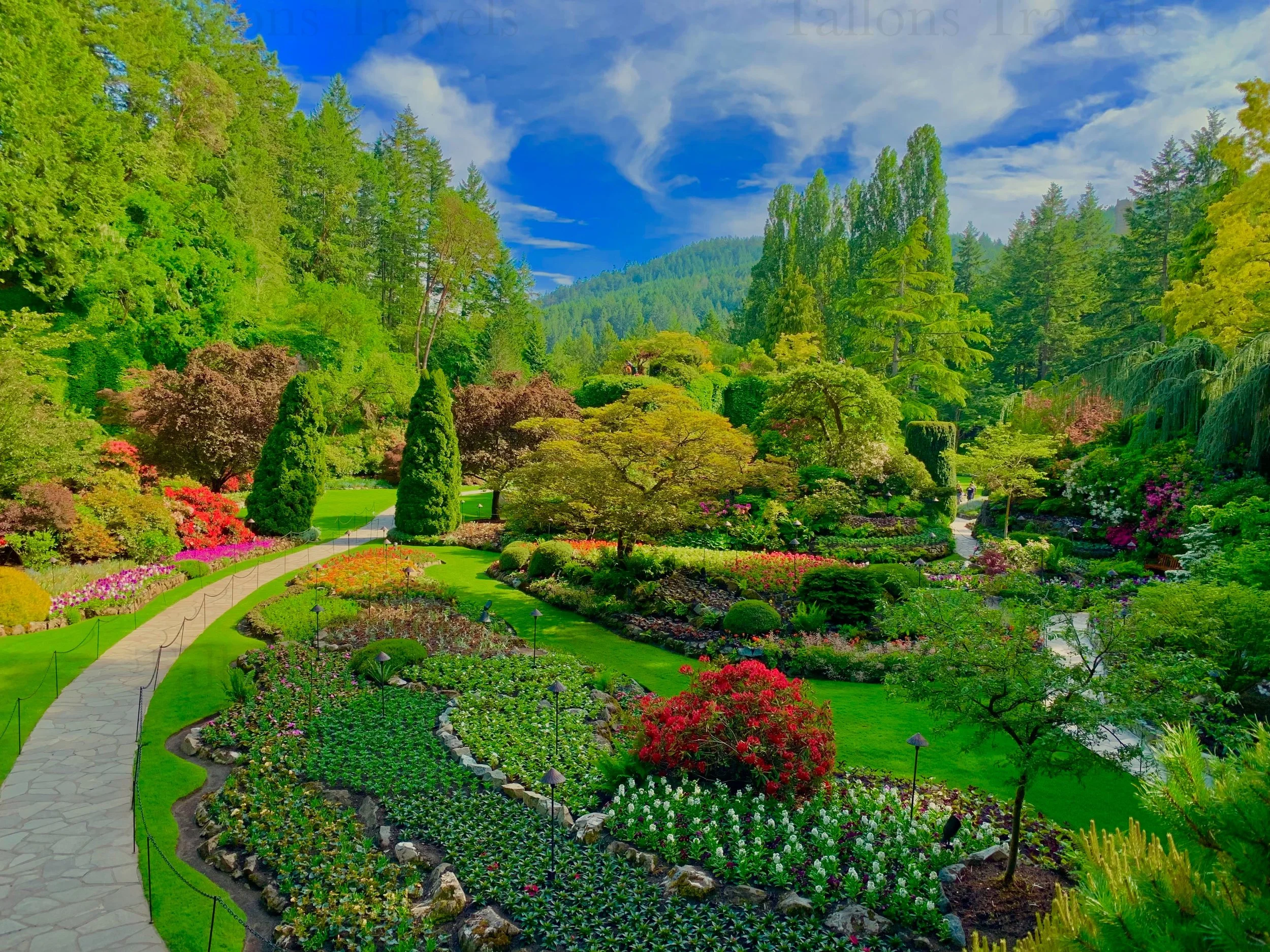 eZy Watermark_27-01-2026_09-11-13-5690PM.jpg