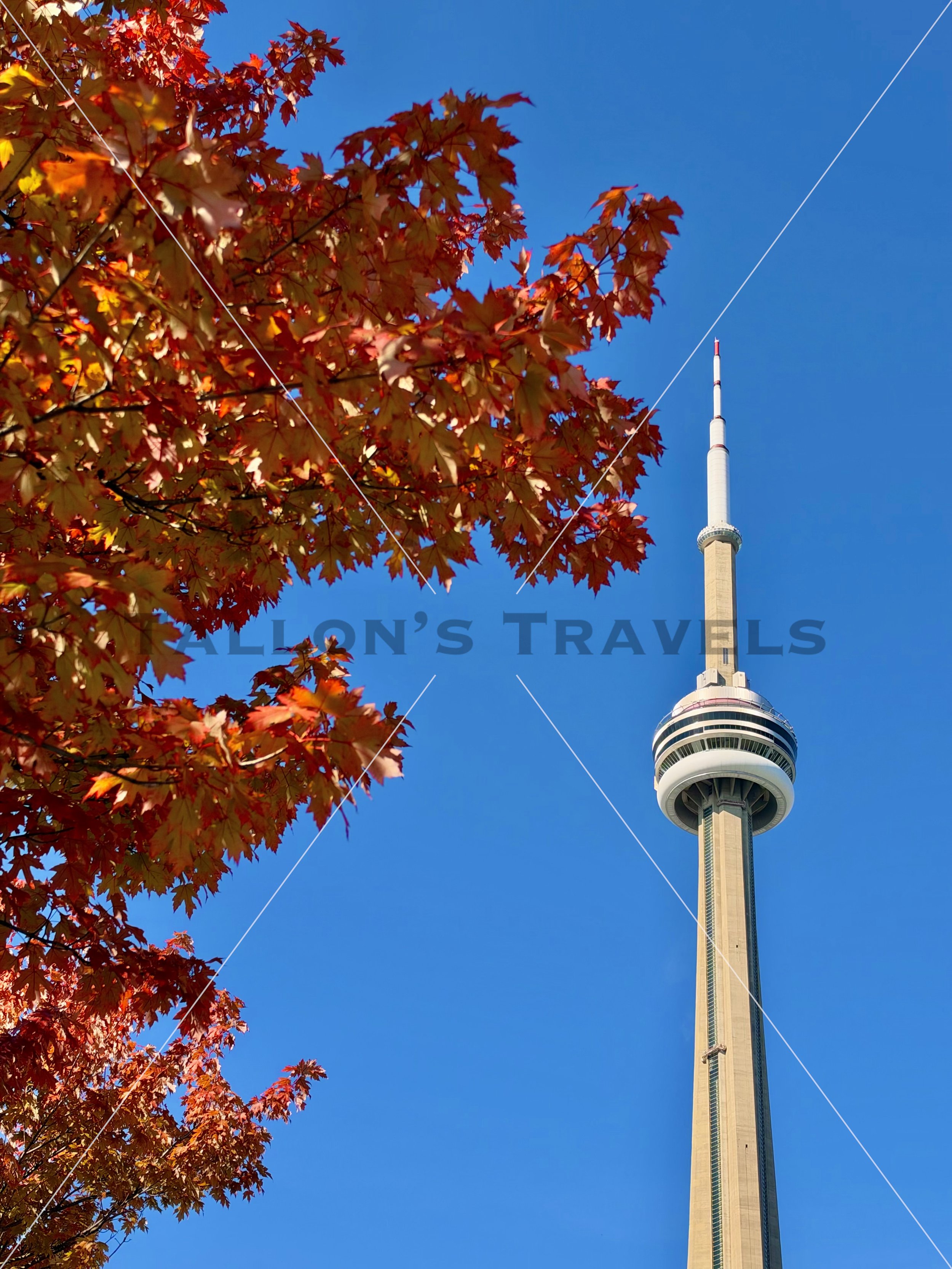 eZy Watermark_27-10-2026_09-52-25-1290PM.jpg