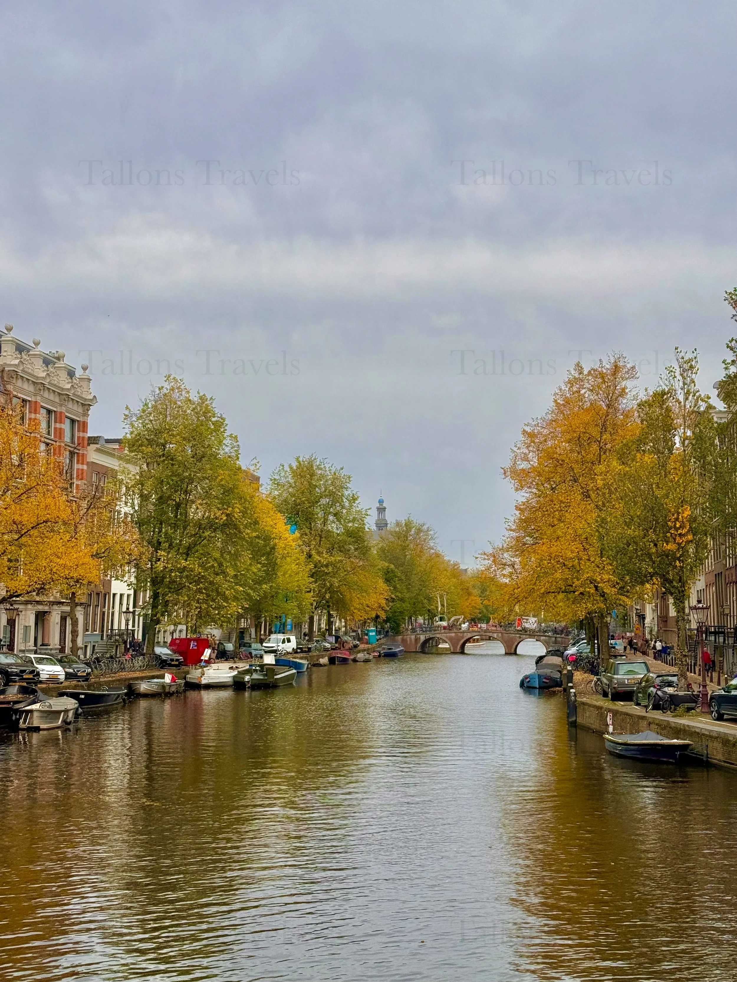 eZy Watermark_23-01-2026_11-37-57-9280AM.jpg