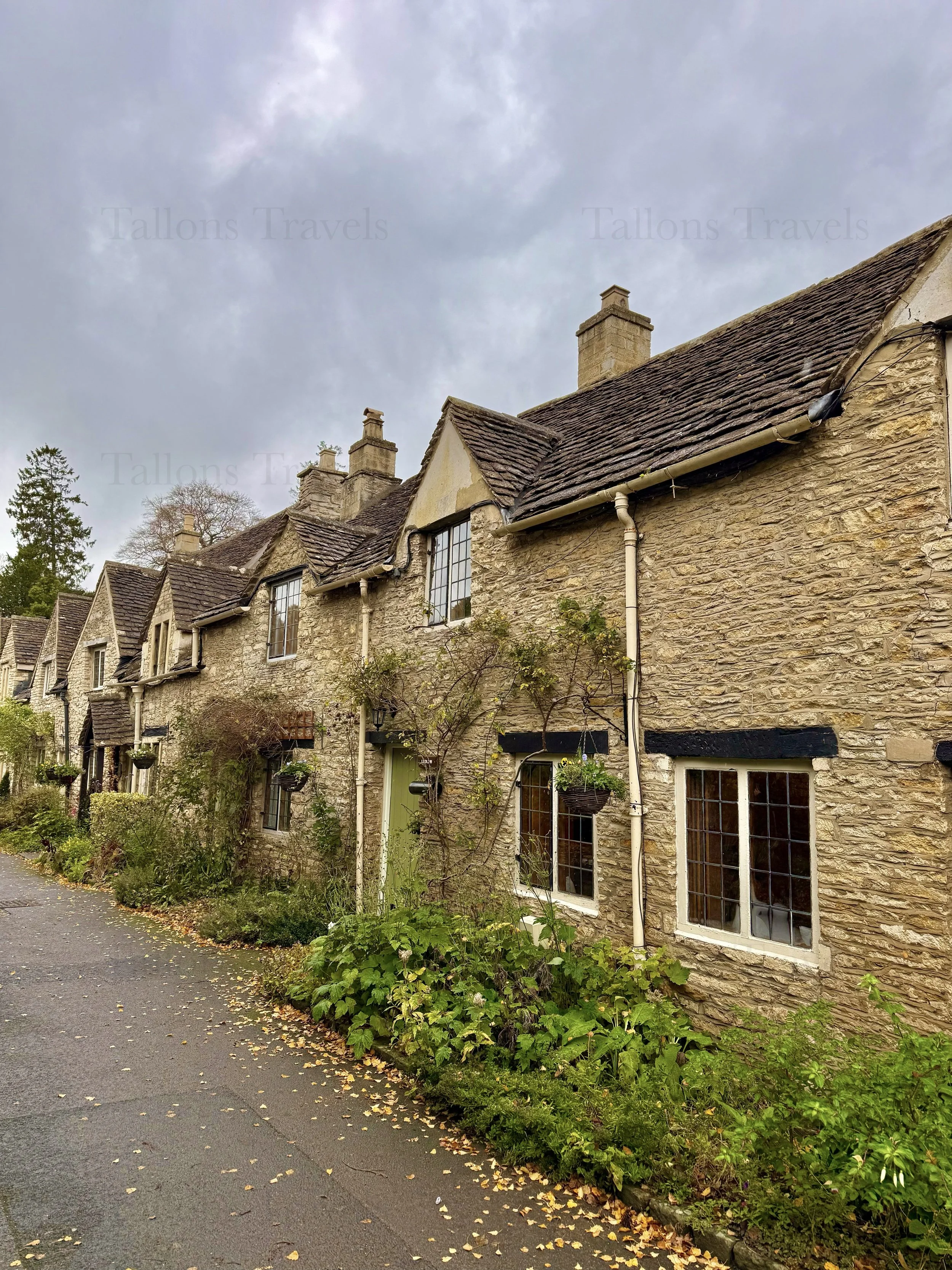 eZy Watermark_23-01-2026_11-27-13-6510AM.jpeg