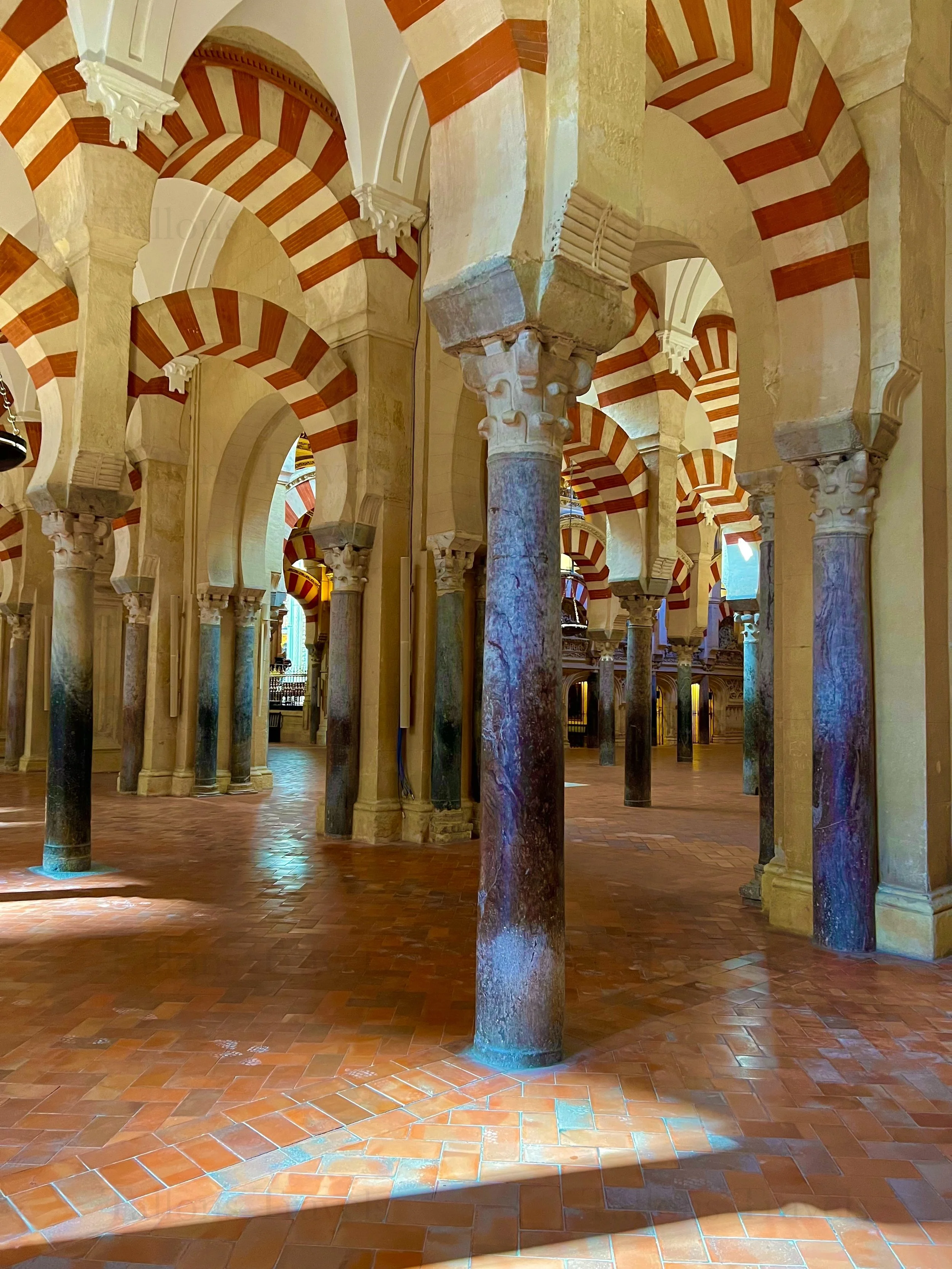 eZy Watermark_27-01-2026_09-21-25-4640PM.jpg