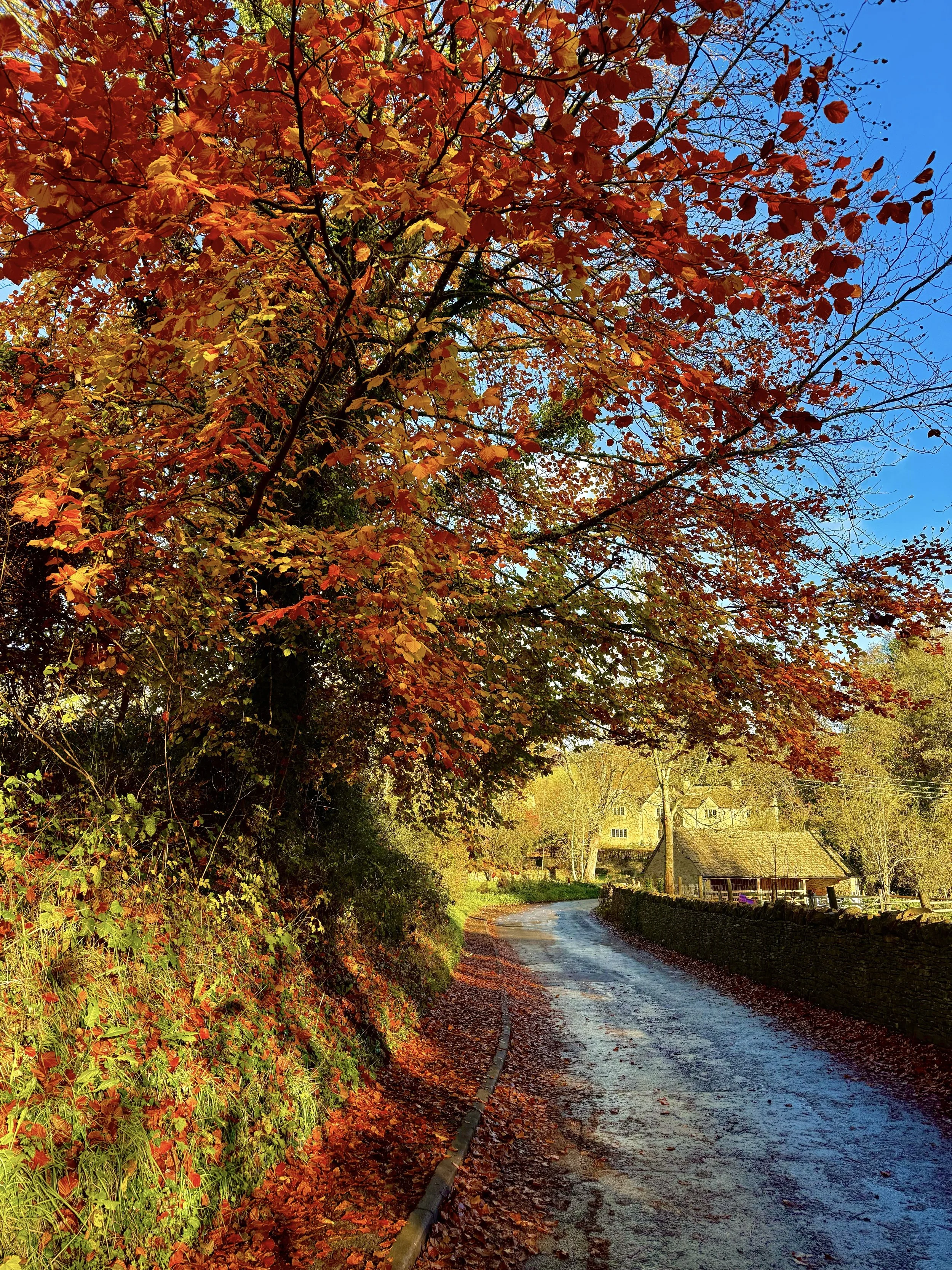 eZy Watermark_23-01-2026_11-26-55-6300AM.jpeg