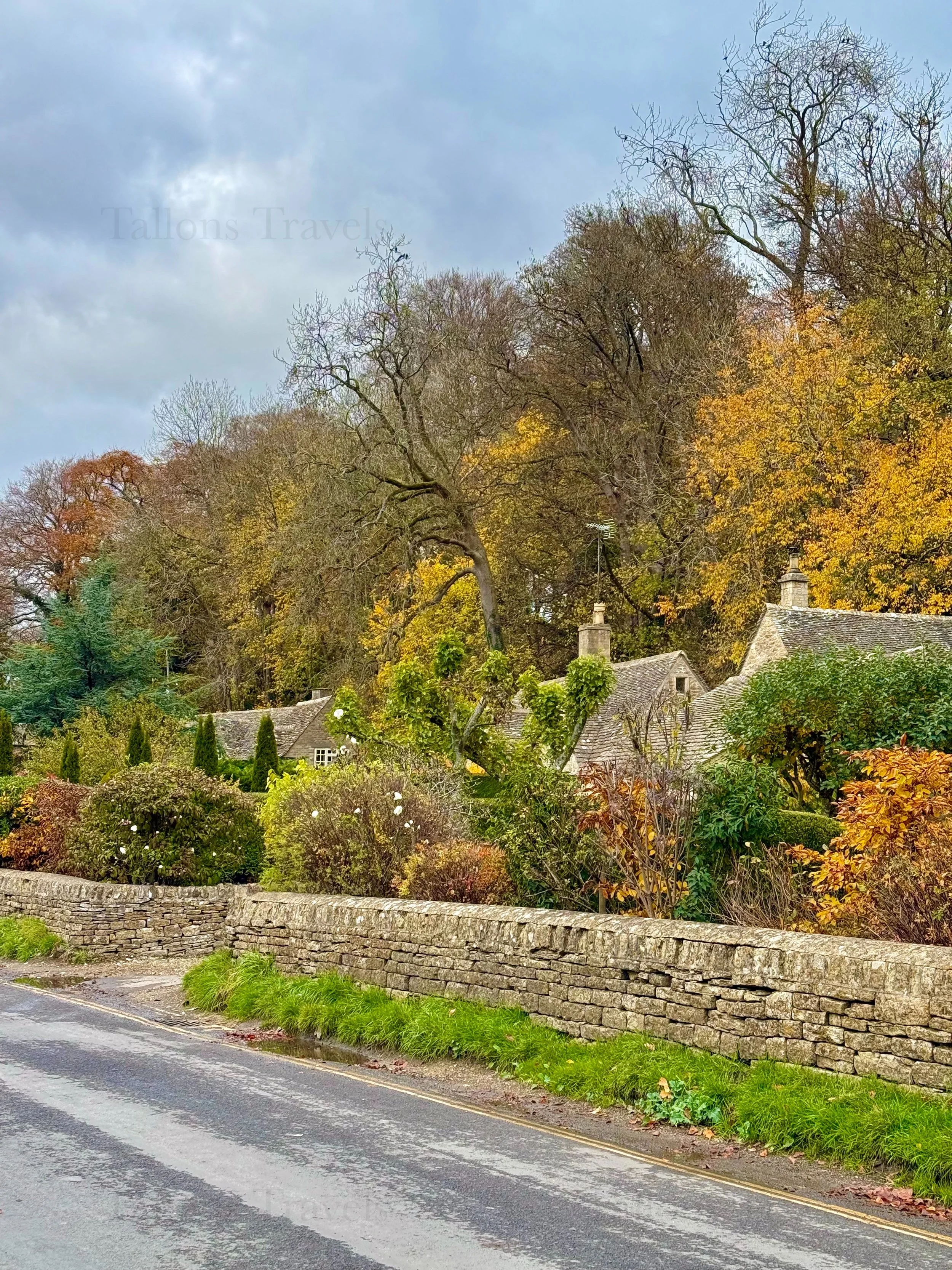 eZy Watermark_23-01-2026_11-26-32-6380AM.jpeg