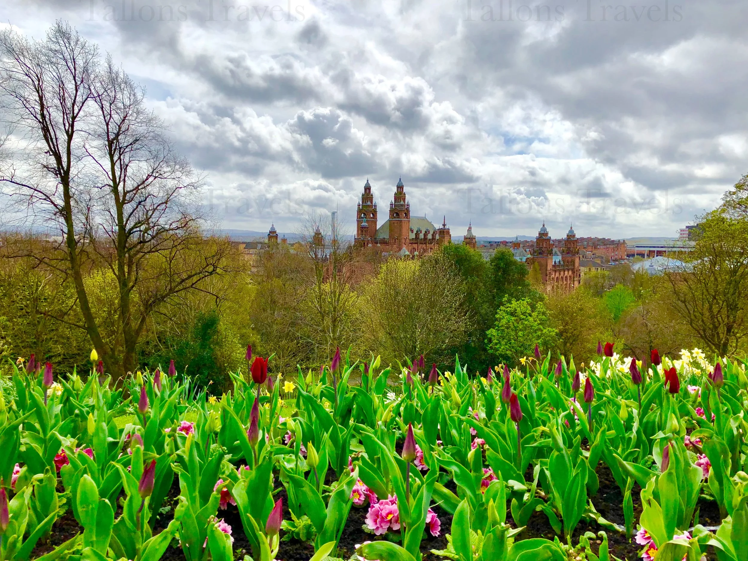 eZy Watermark_27-01-2026_09-47-38-4310PM.jpg