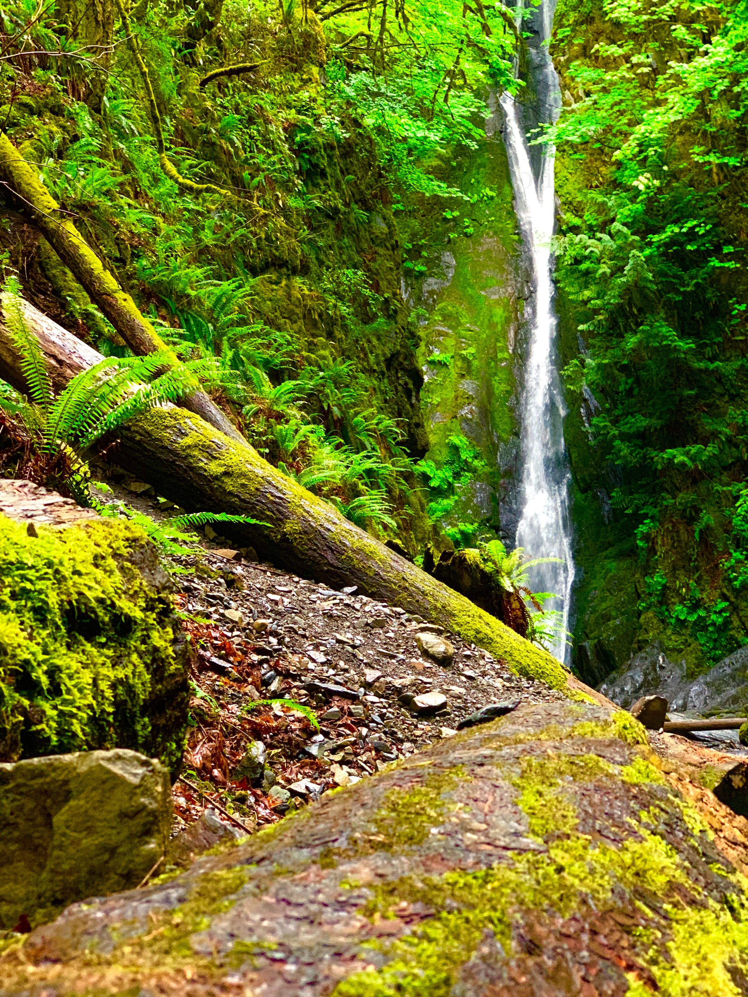 eZy Watermark_27-01-2026_09-10-51-7350PM.jpg