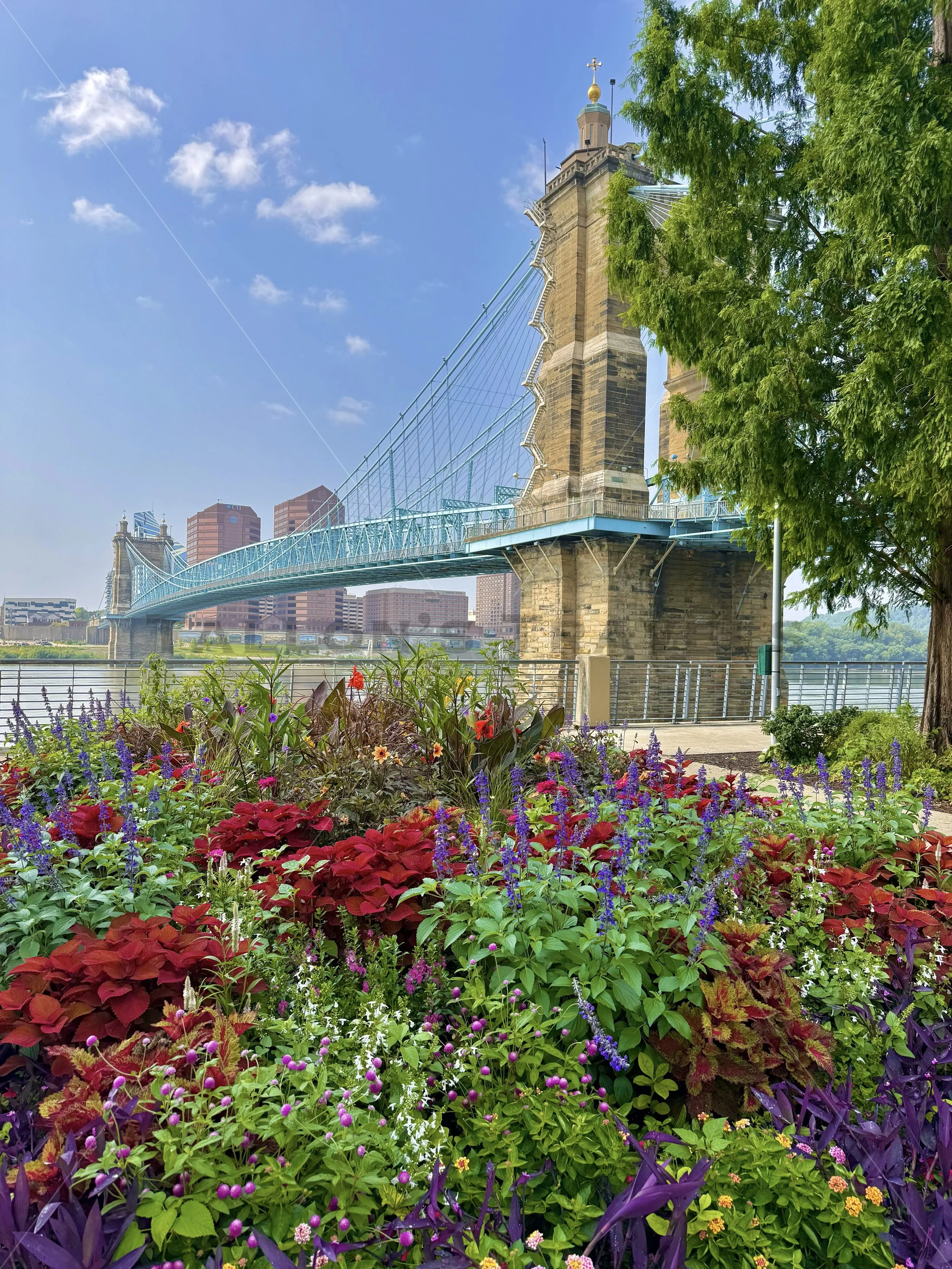 The Roebling Bridge
