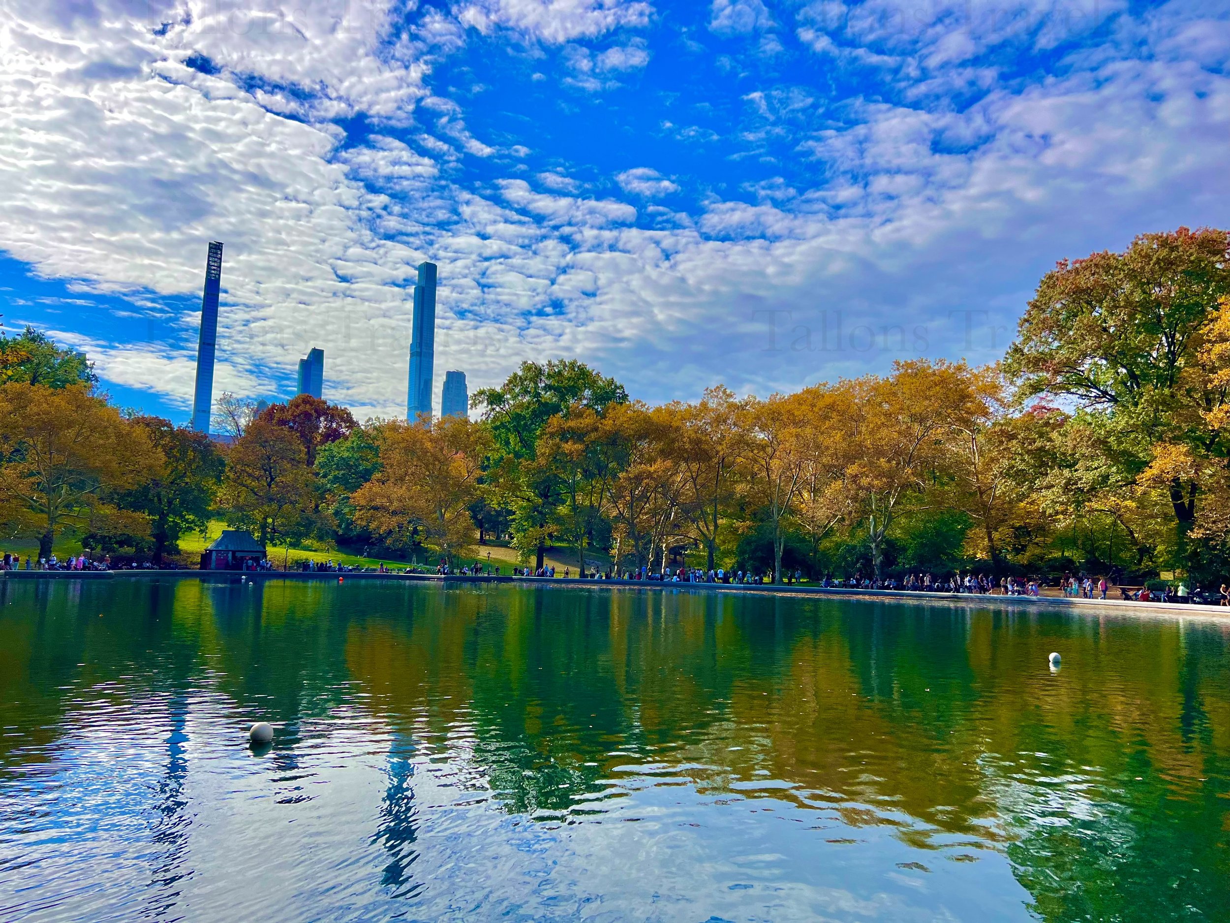 eZy Watermark_23-01-2026_11-20-06-5830PM.jpg