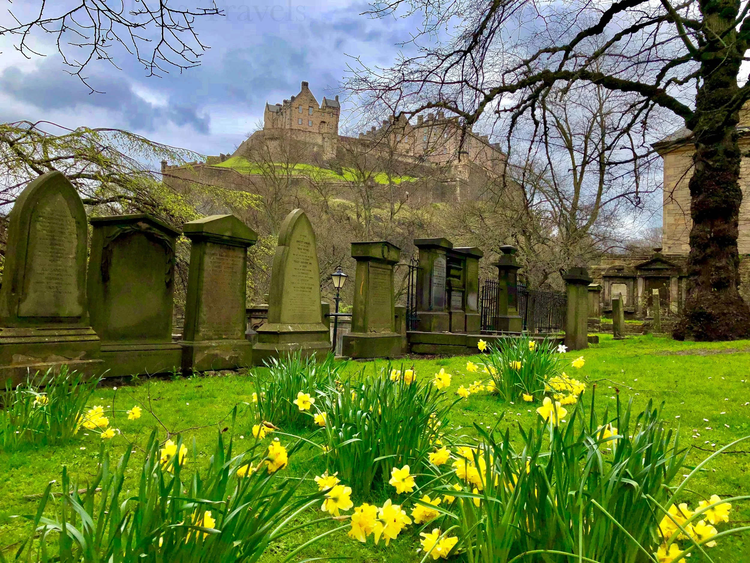 eZy Watermark_27-01-2026_09-47-43-7100PM.jpg