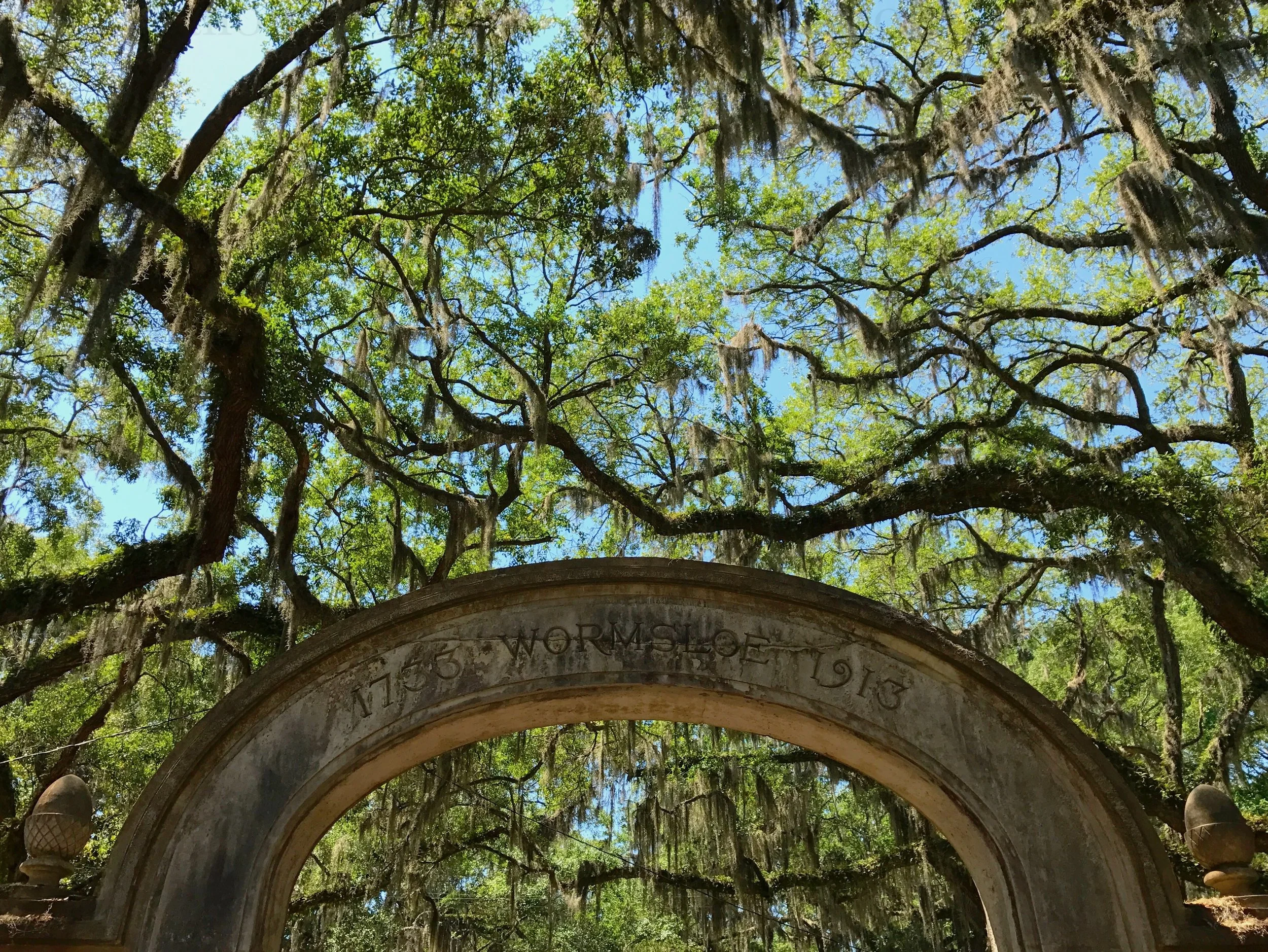 eZy Watermark_27-01-2026_10-07-51-3460PM.JPG