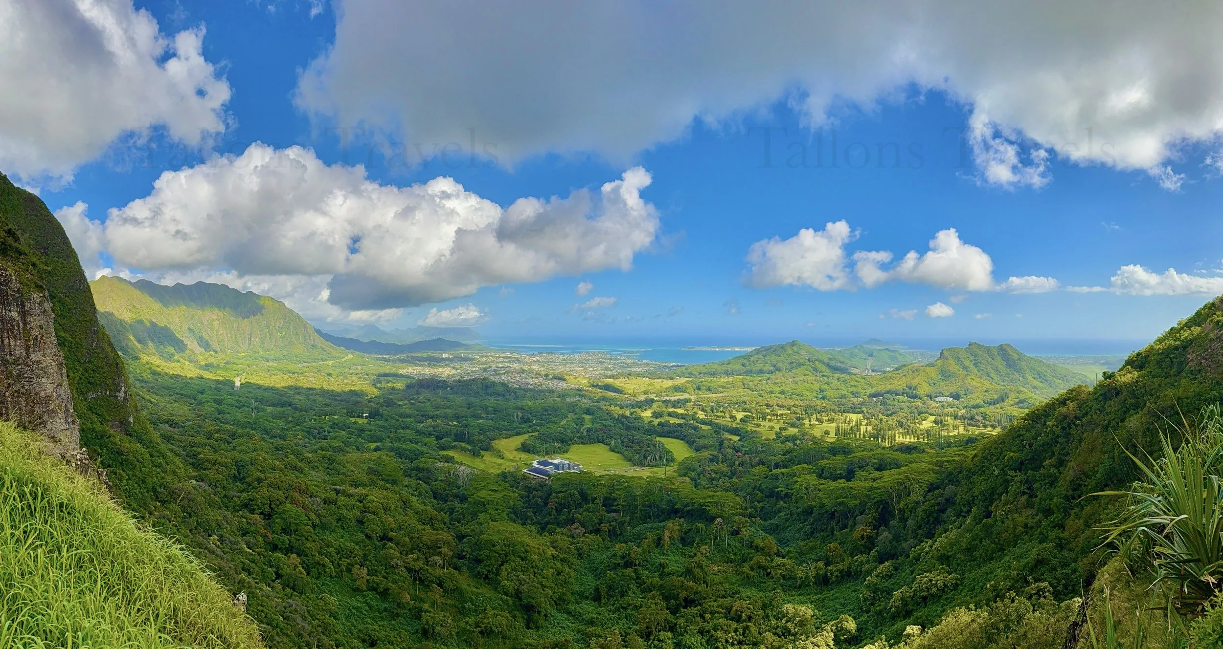 eZy Watermark_23-01-2026_10-20-45-3590PM.jpg