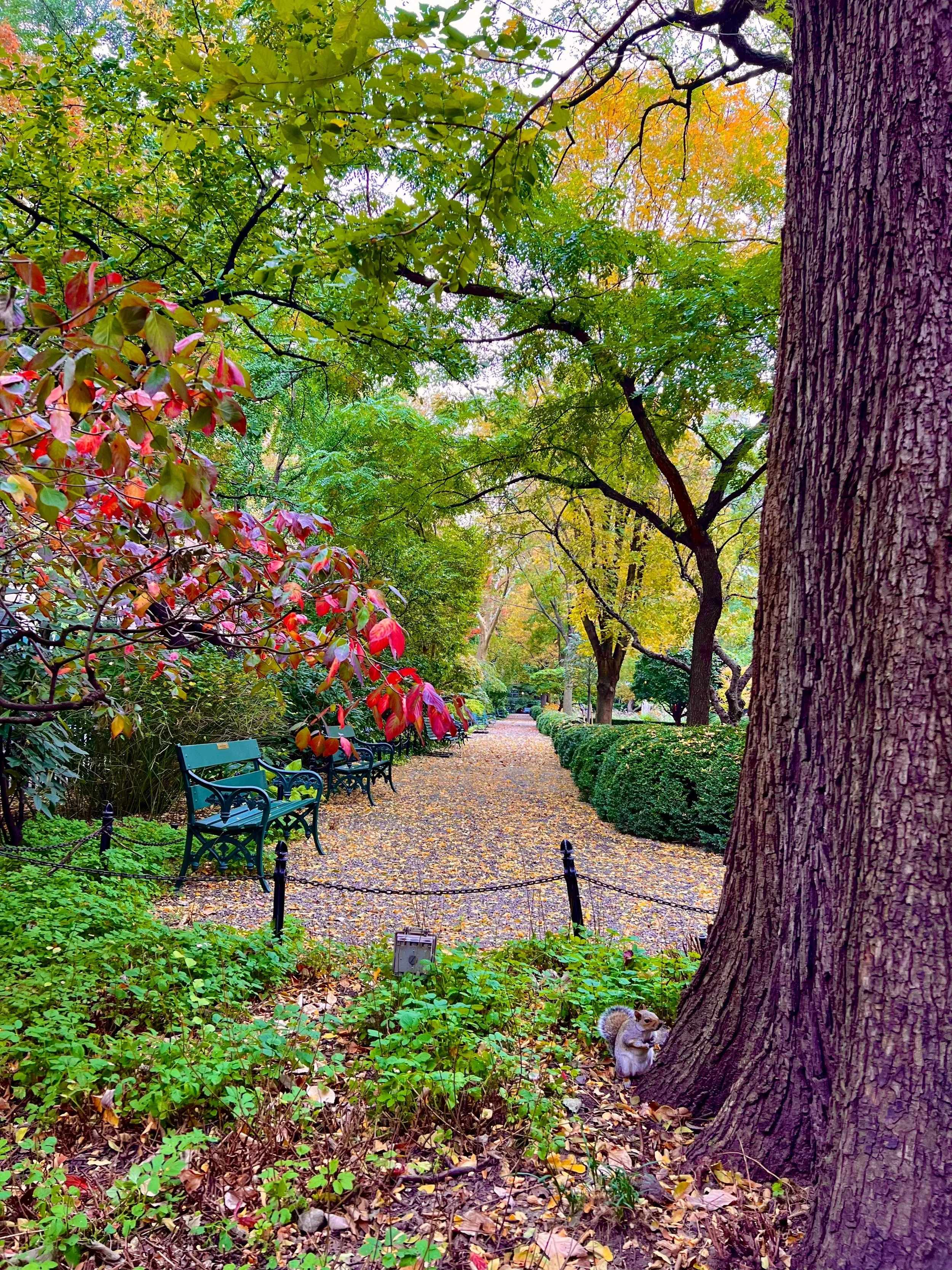 eZy Watermark_23-01-2026_11-19-54-0160PM.jpg