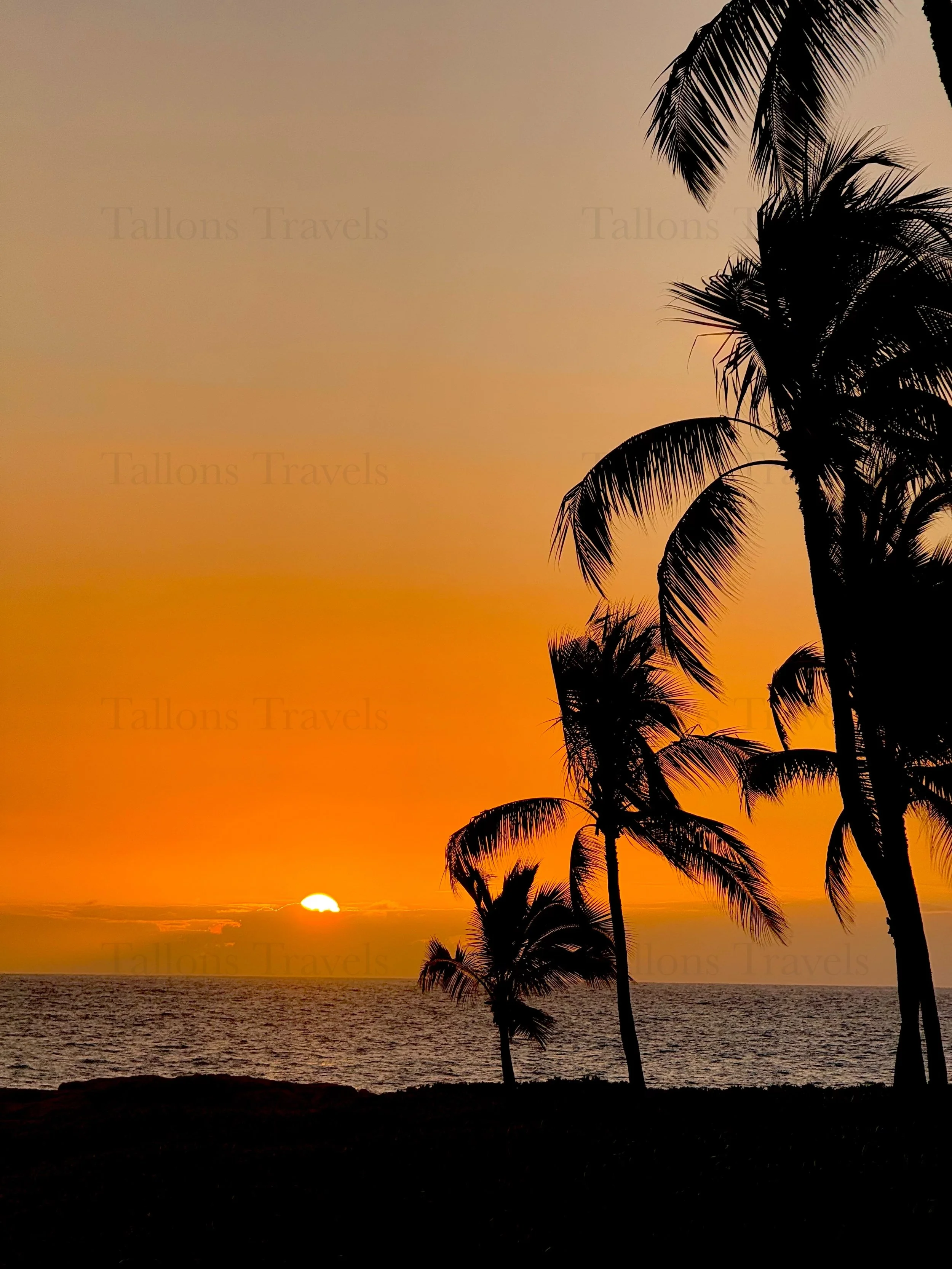 eZy Watermark_23-01-2026_10-19-46-2720PM.jpg