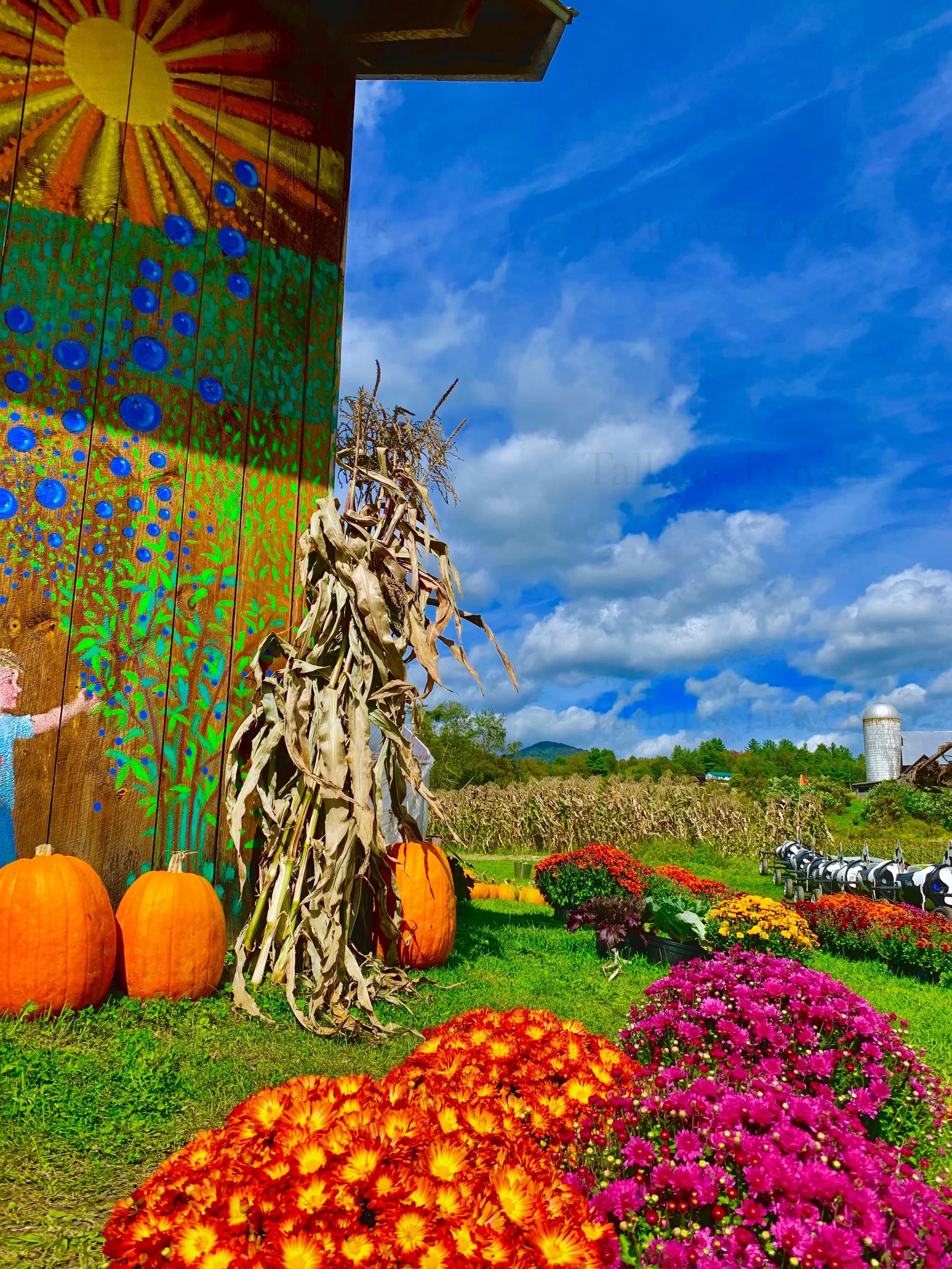 eZy Watermark_27-01-2026_09-59-30-9440PM.jpg