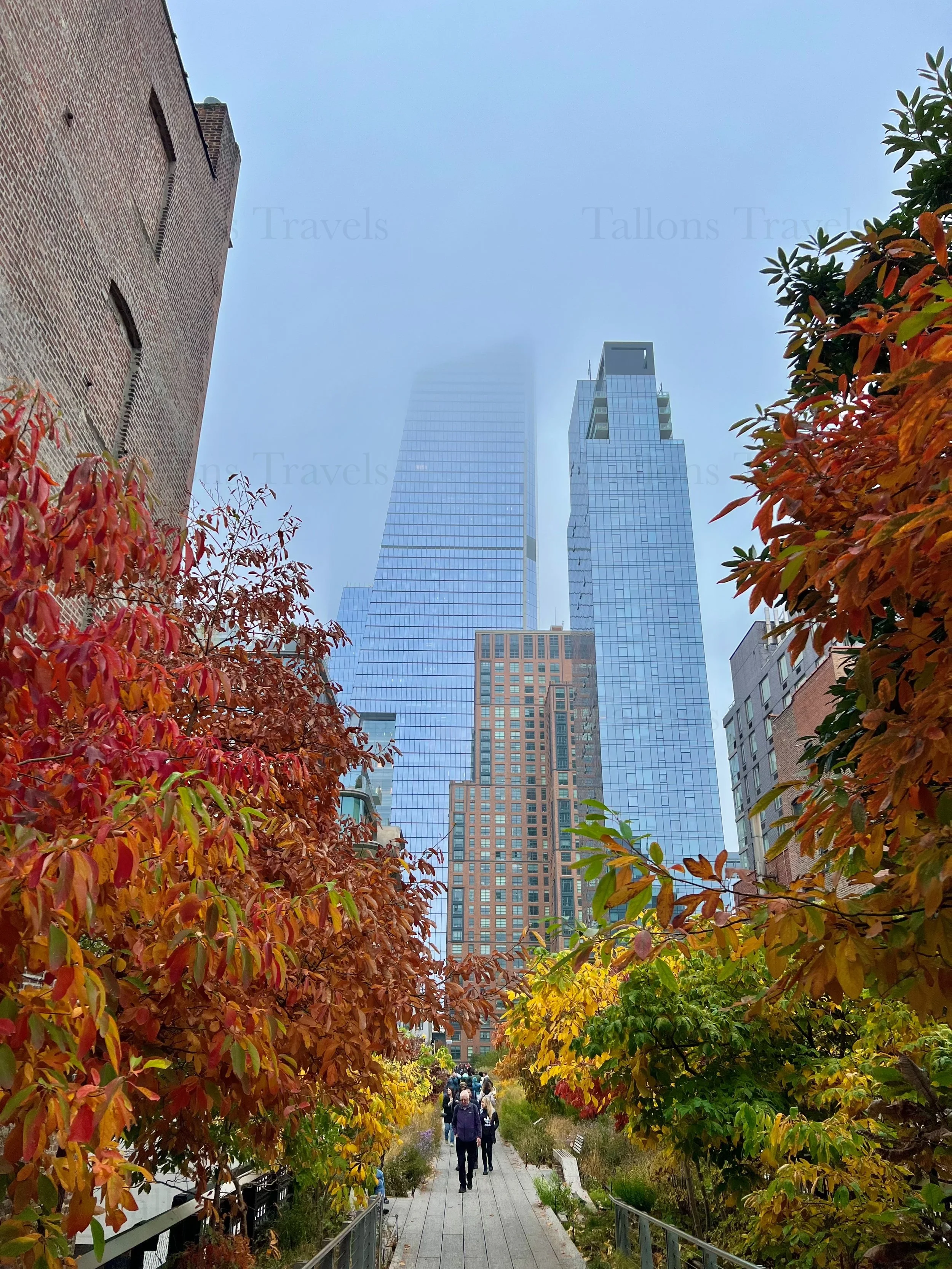 eZy Watermark_23-01-2026_11-19-38-2910PM.jpg