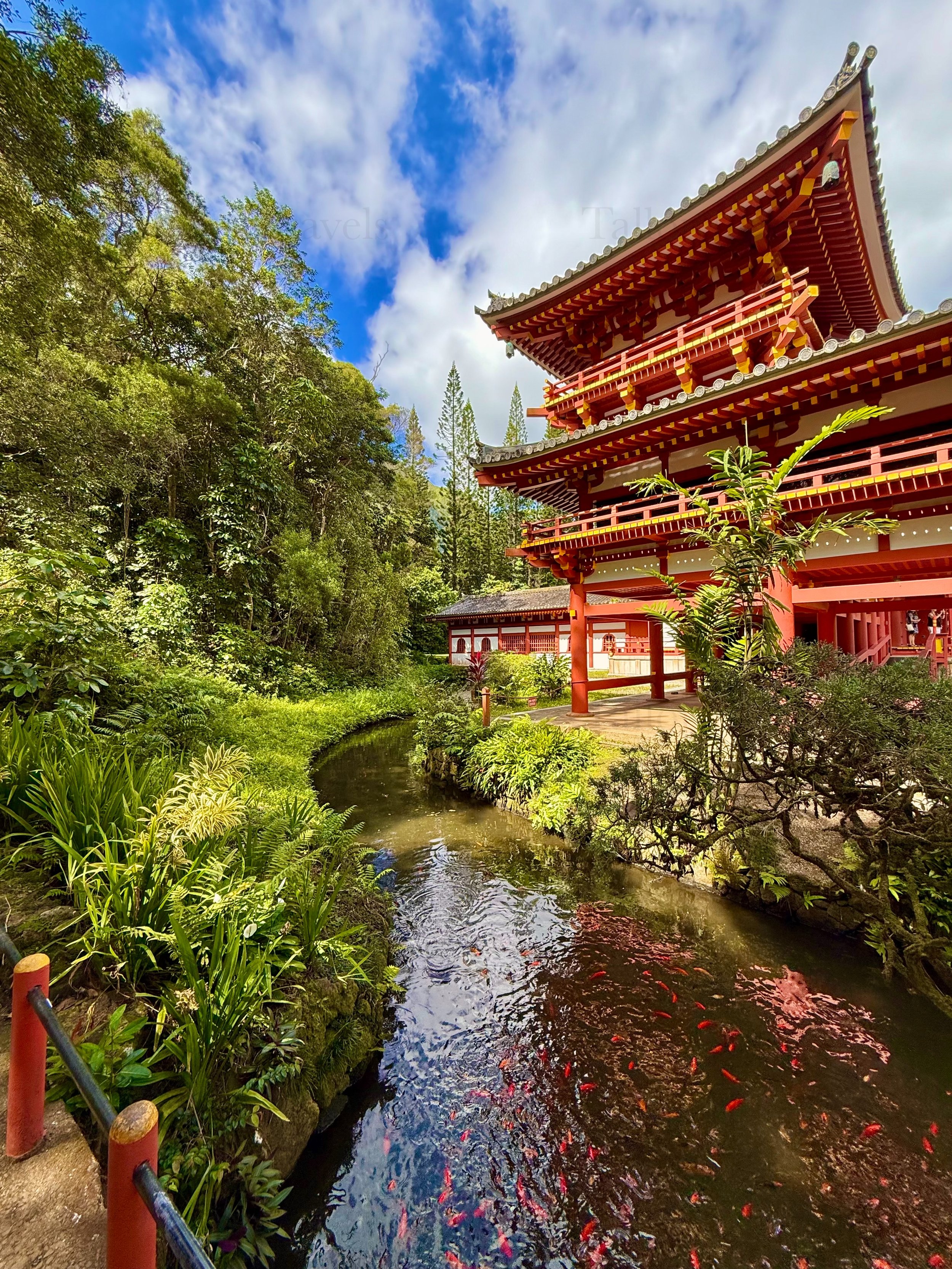 eZy Watermark_23-01-2026_10-19-21-4220PM.jpg