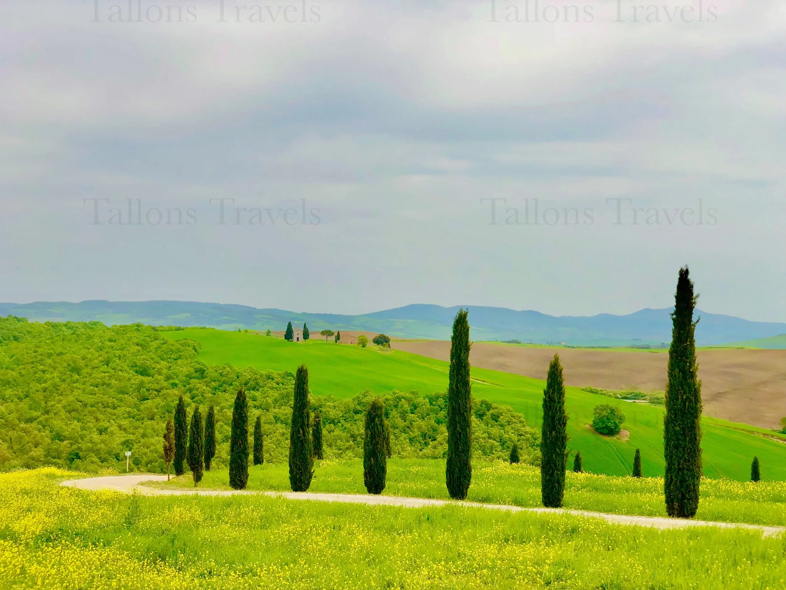 eZy Watermark_24-01-2026_08-09-56-7200PM.jpg