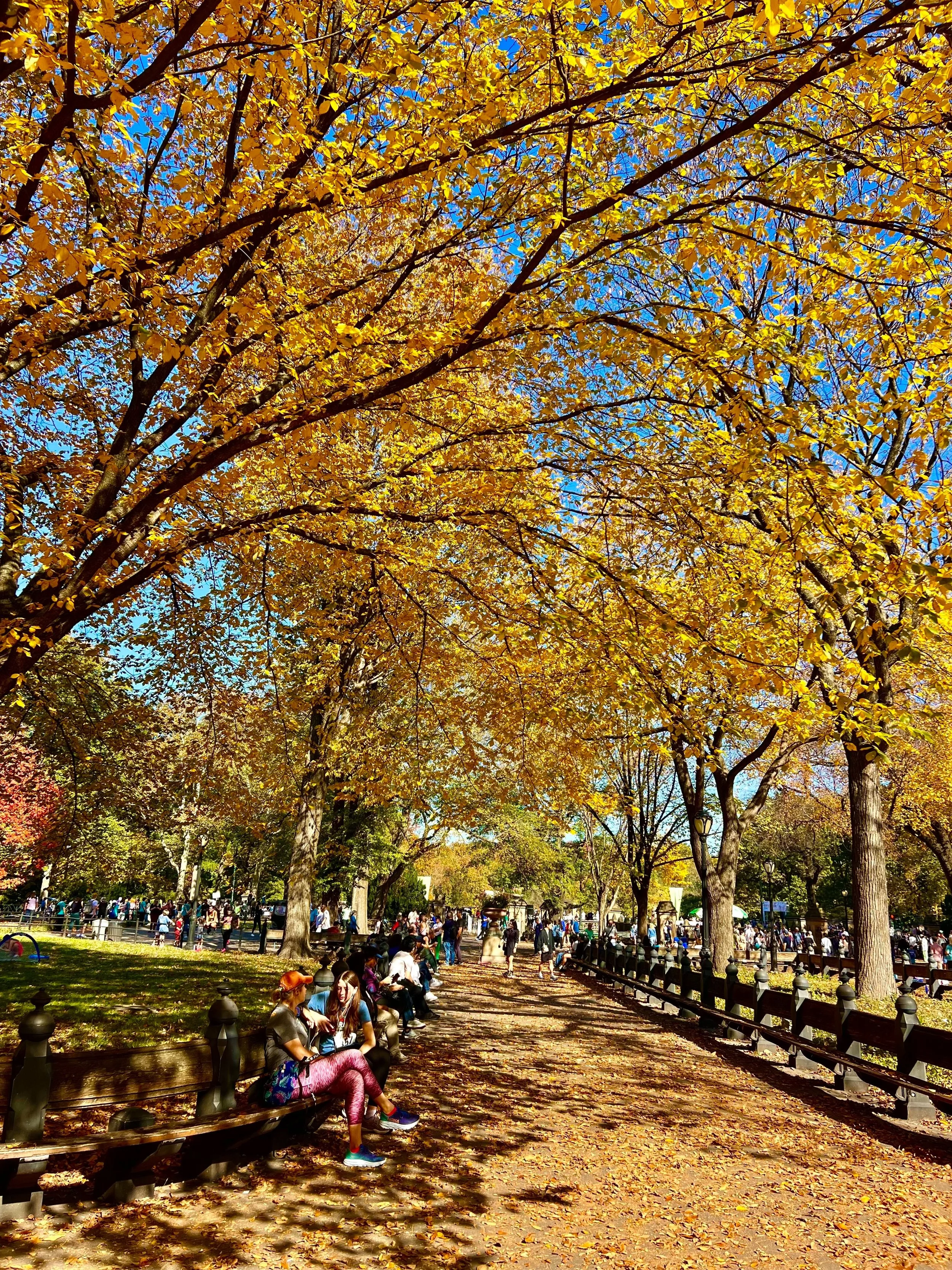 eZy Watermark_23-01-2026_11-20-13-6720PM.jpg