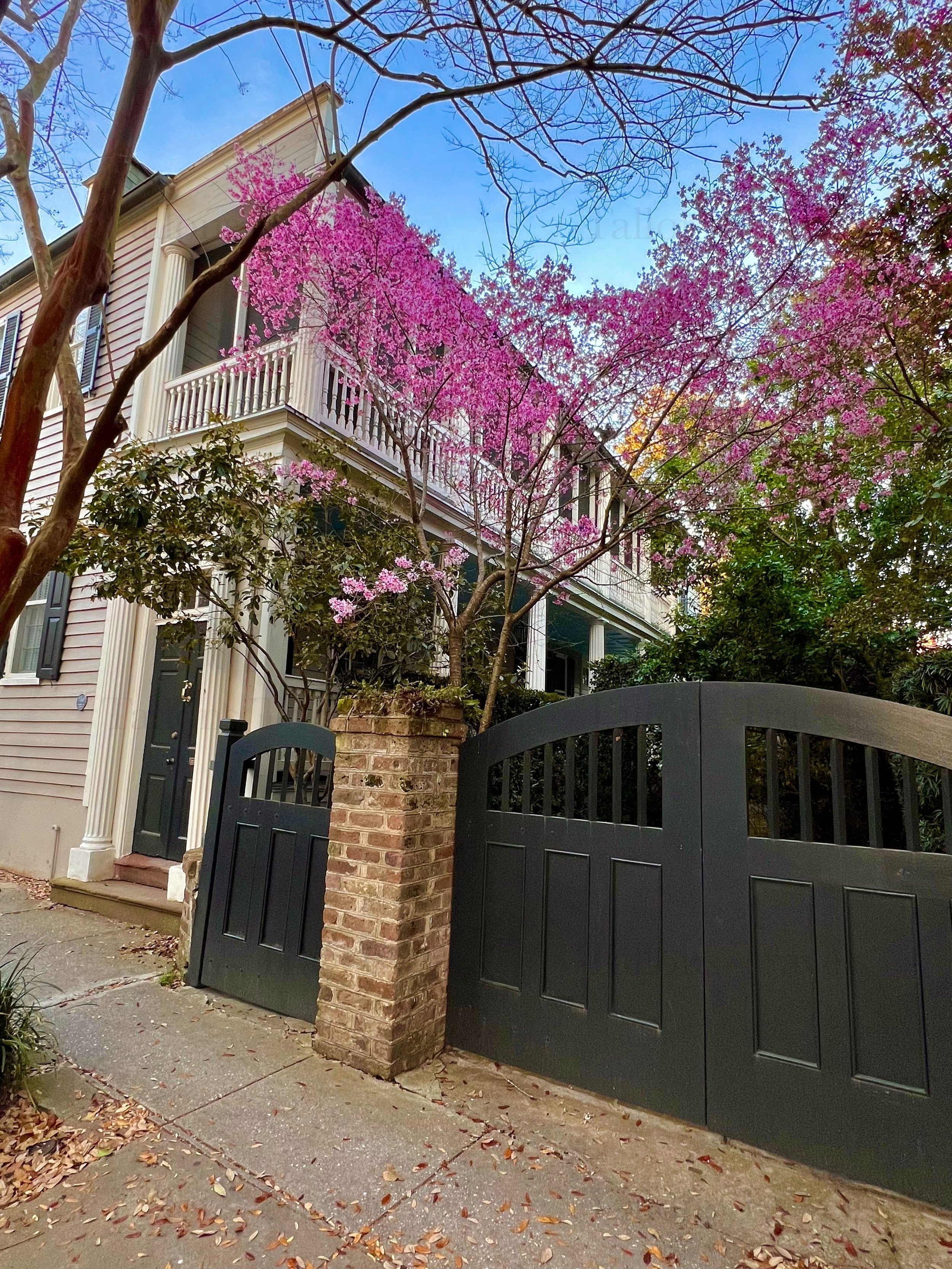 eZy Watermark_25-01-2026_08-24-49-8490PM.jpg