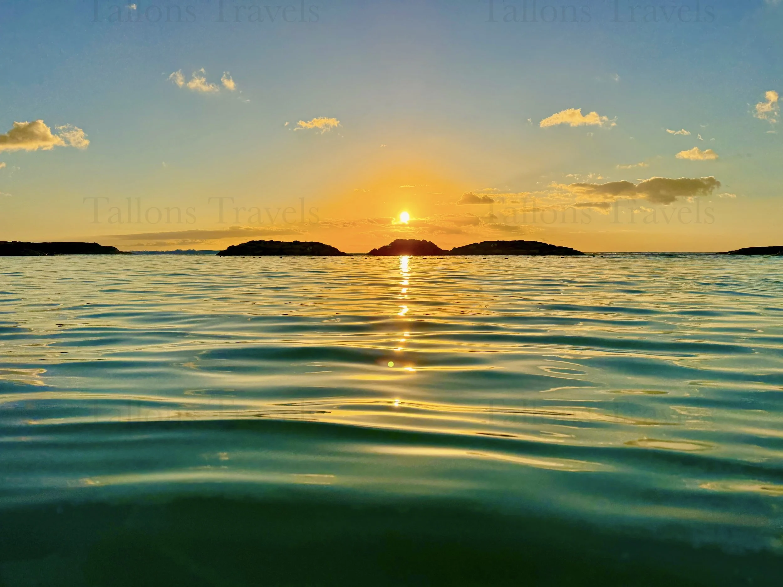 eZy Watermark_23-01-2026_10-19-36-8600PM.jpg