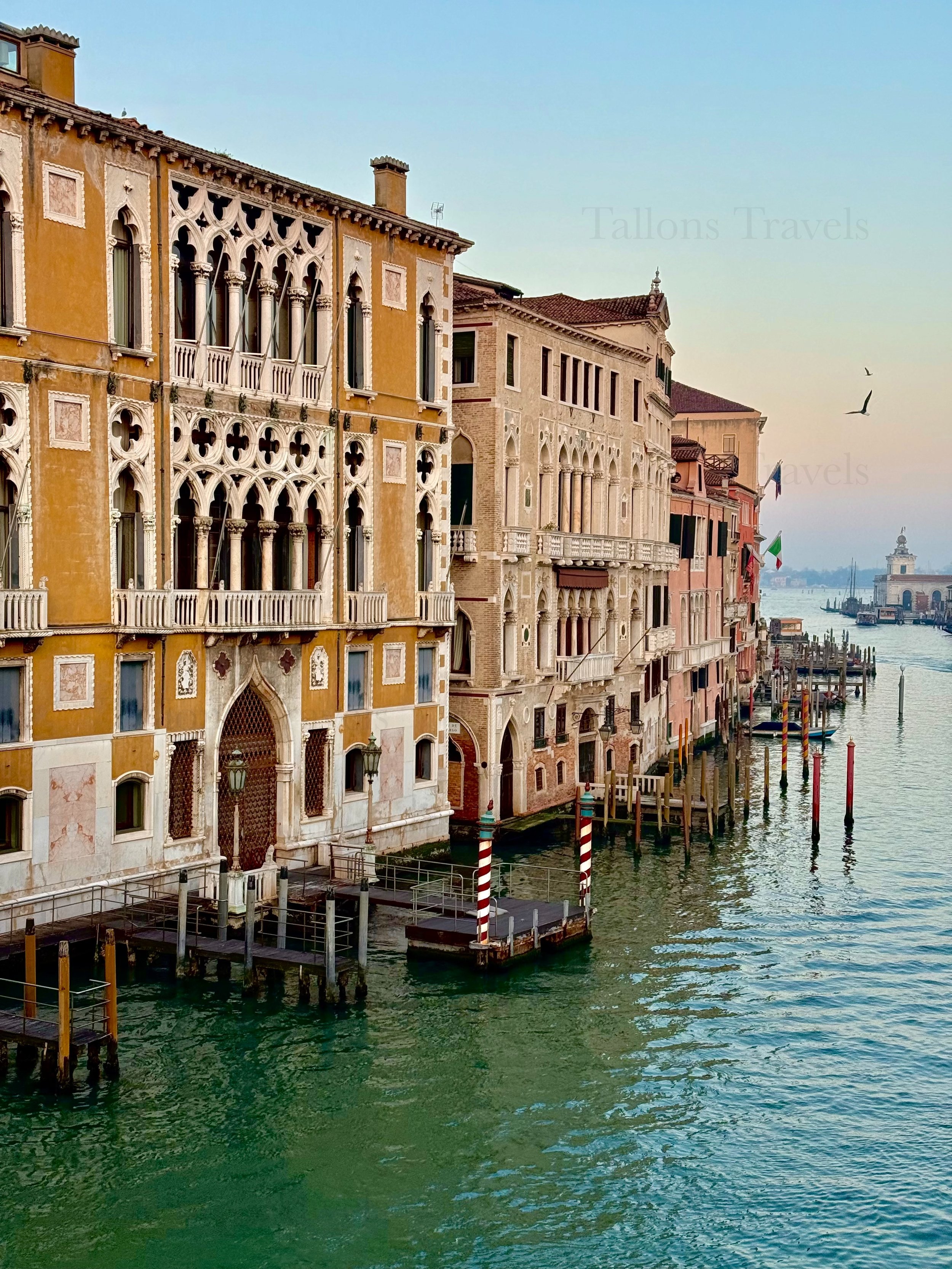 eZy Watermark_04-03-2026_06-29-33-2070PM.jpg