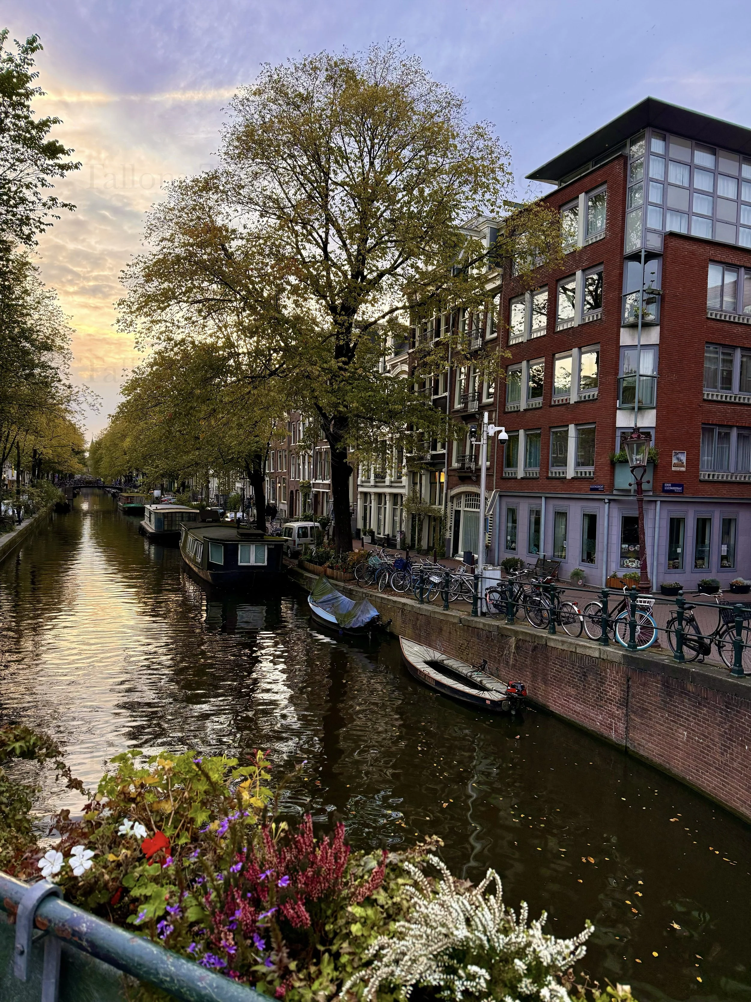 eZy Watermark_23-01-2026_11-38-56-1310AM.jpg