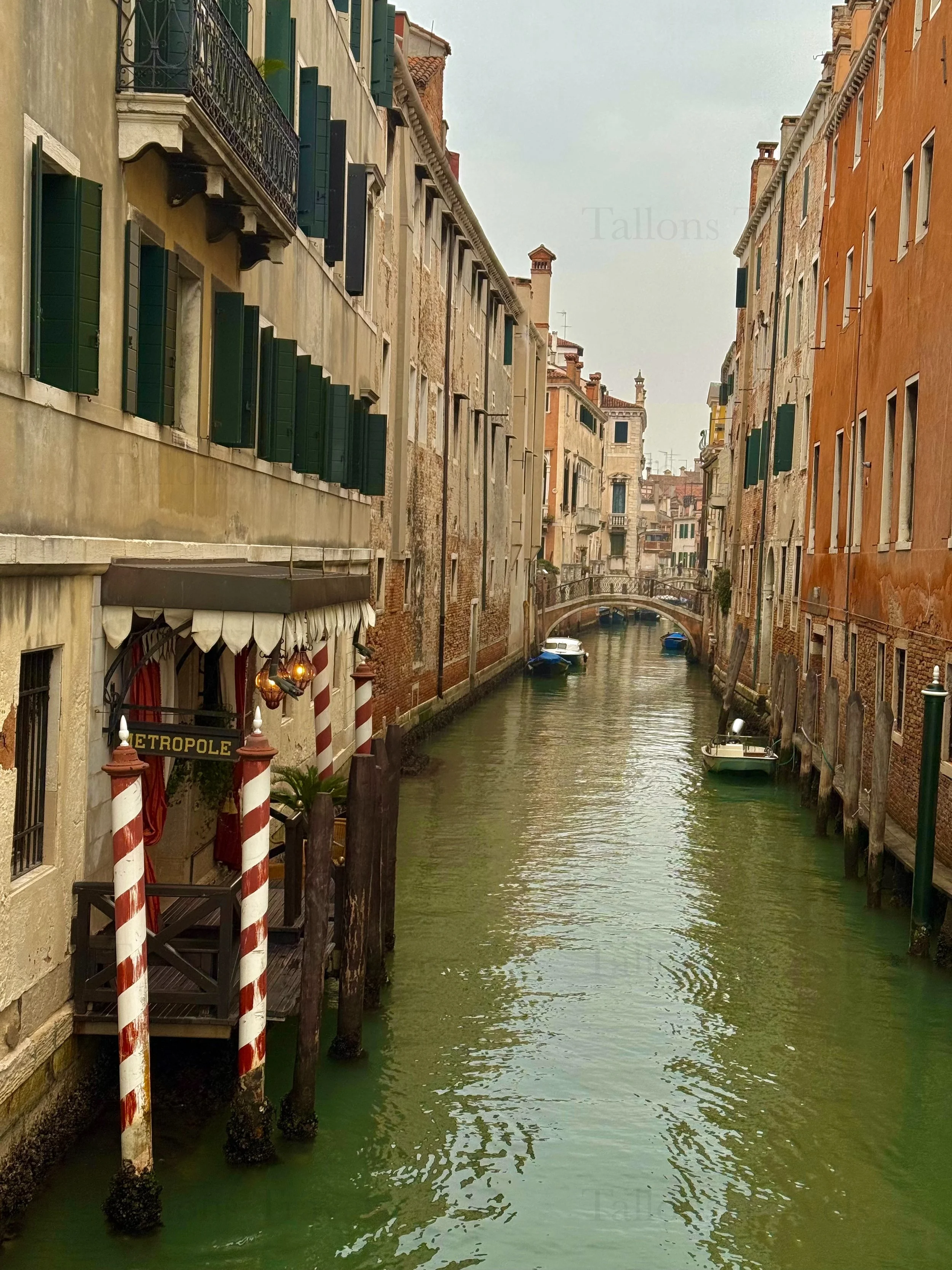 eZy Watermark_04-03-2026_06-27-20-7460PM.jpg