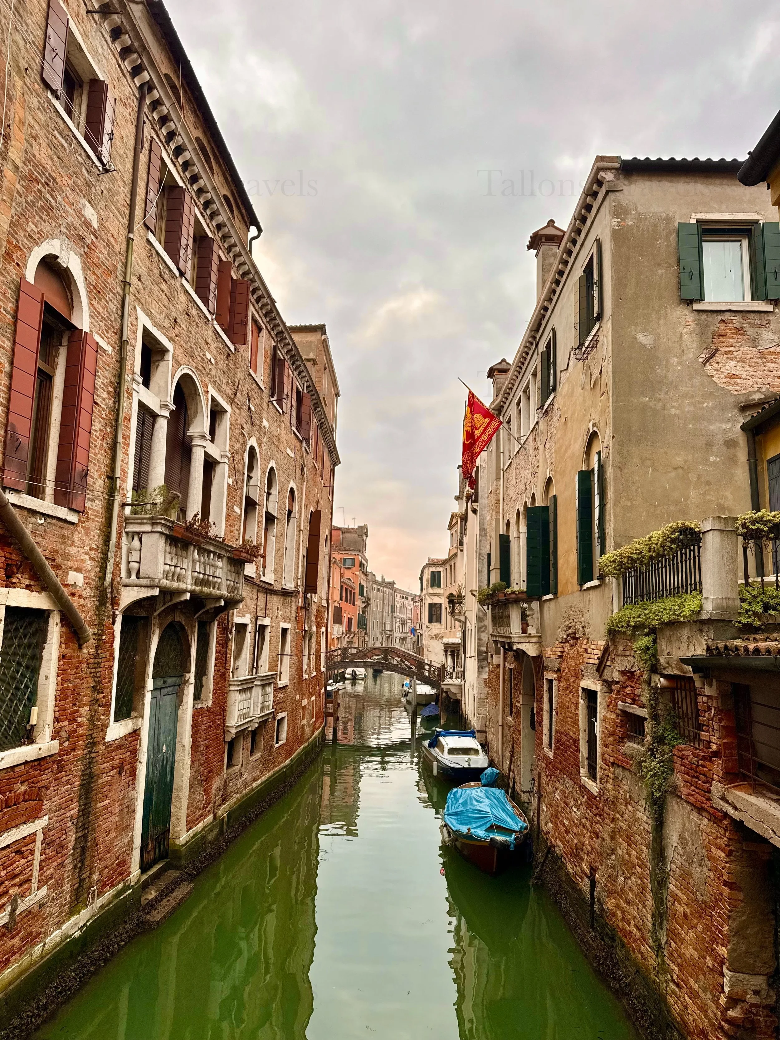 eZy Watermark_04-03-2026_06-27-39-4600PM.jpg