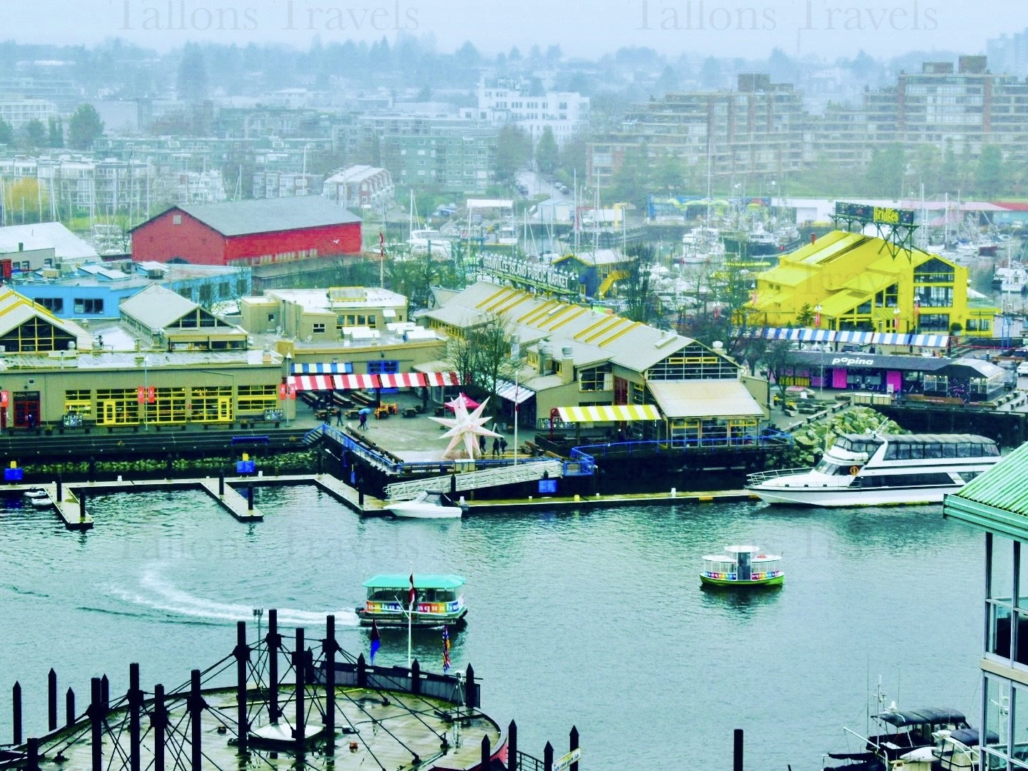 eZy Watermark_25-01-2026_03-28-04-9750PM.JPG