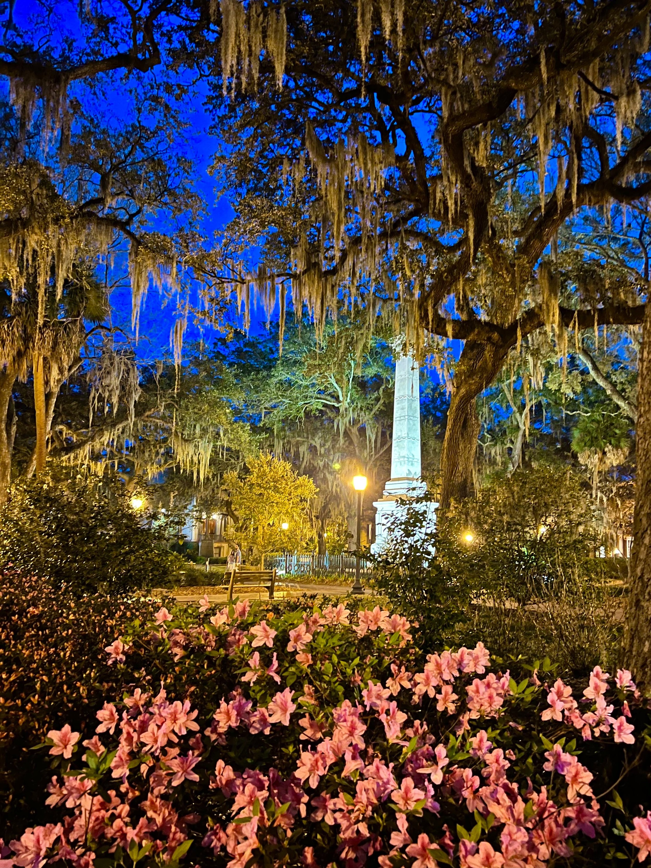 eZy Watermark_27-01-2026_10-08-01-8760PM.jpg