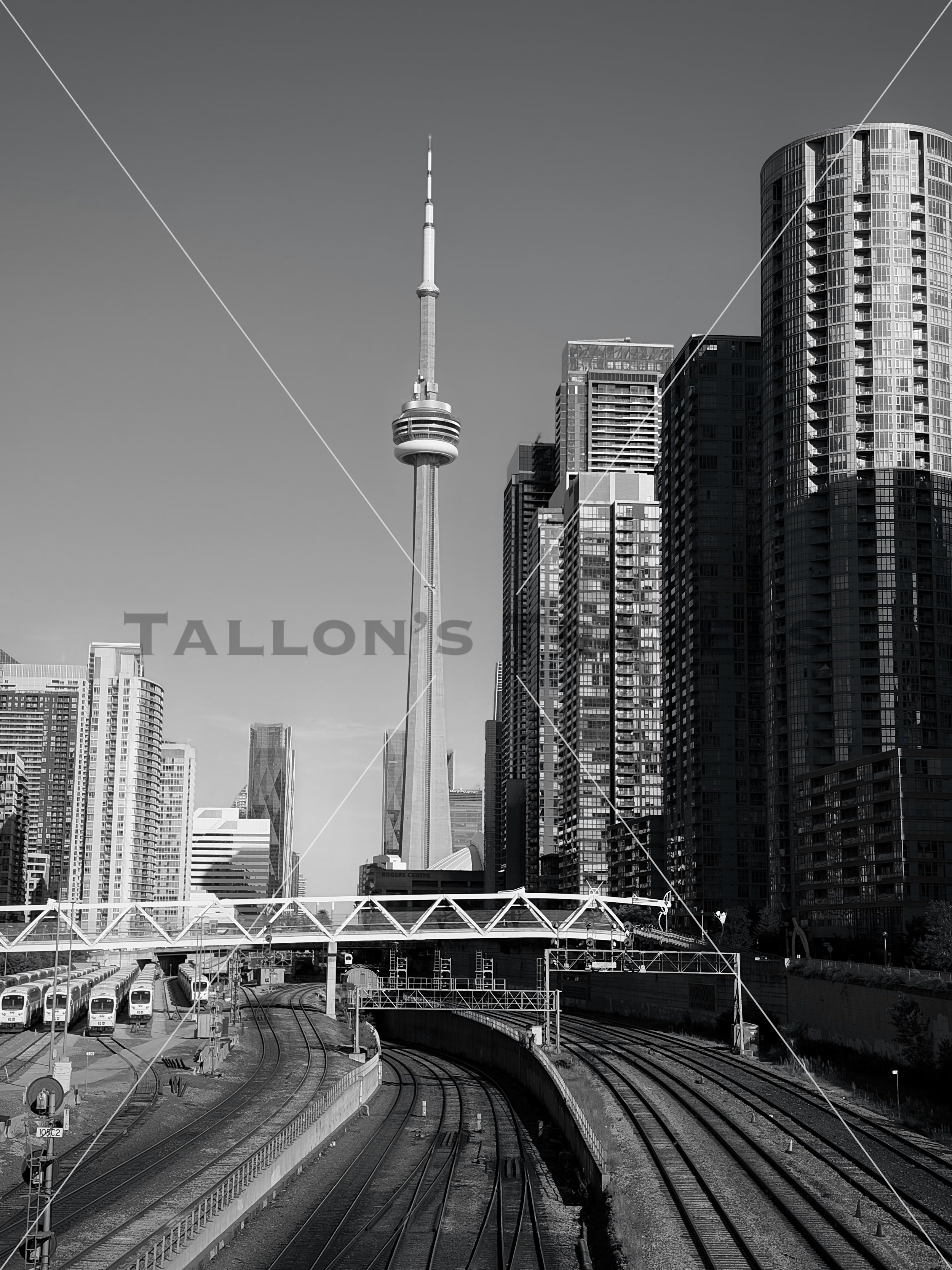 Black and White Toronto