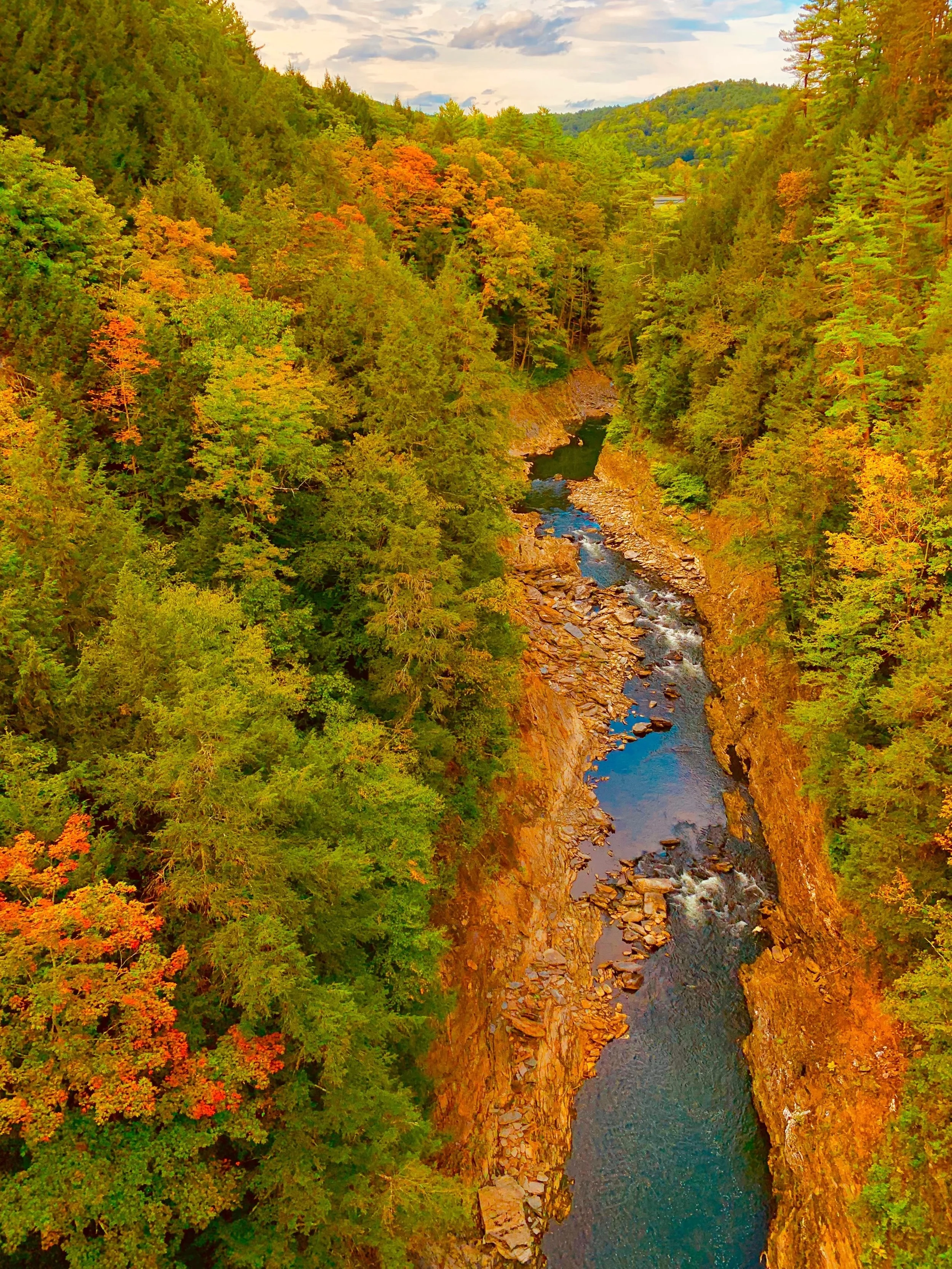 eZy Watermark_27-01-2026_09-59-33-5450PM.jpg