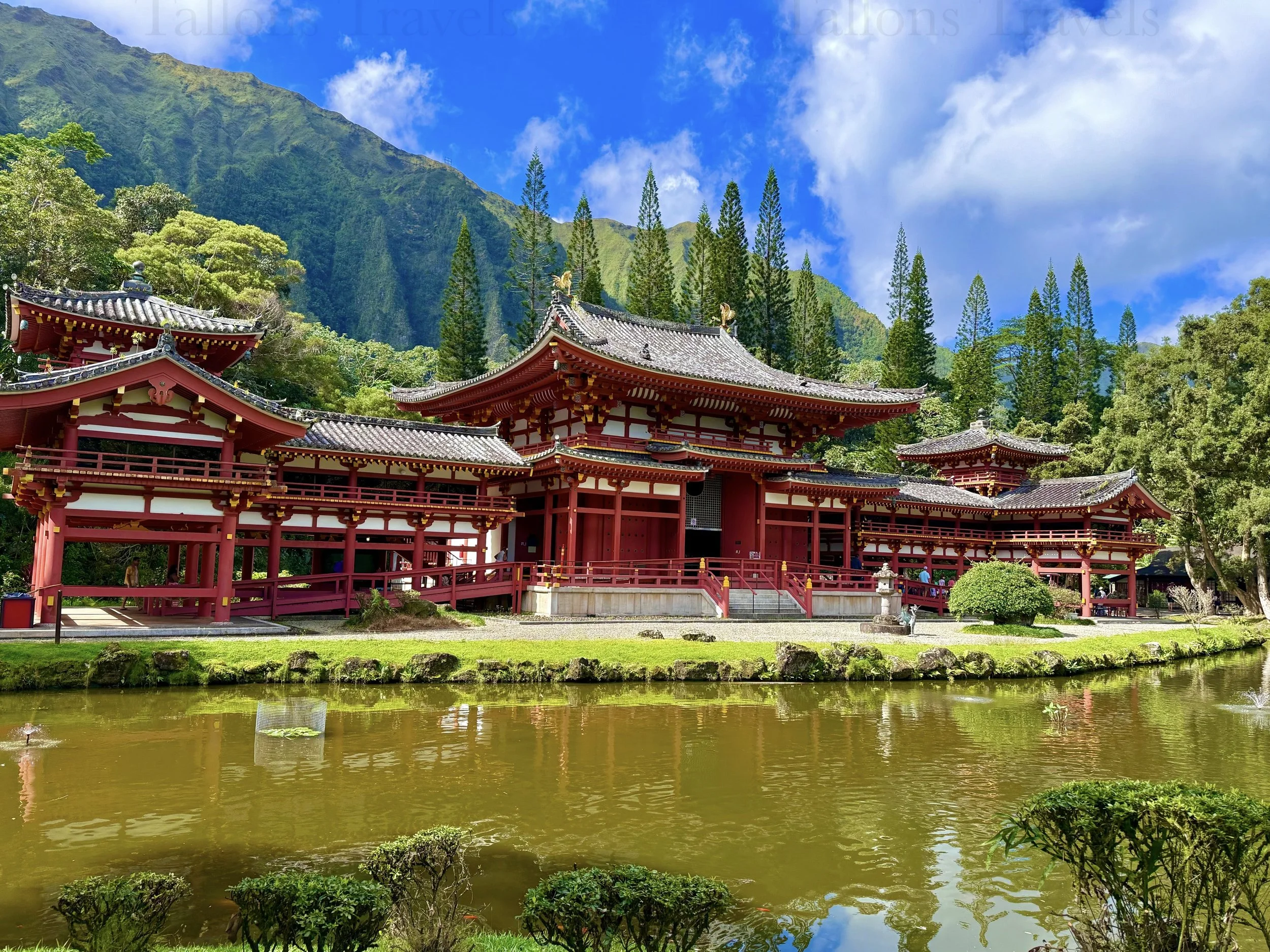 eZy Watermark_23-01-2026_10-19-24-0550PM.jpg