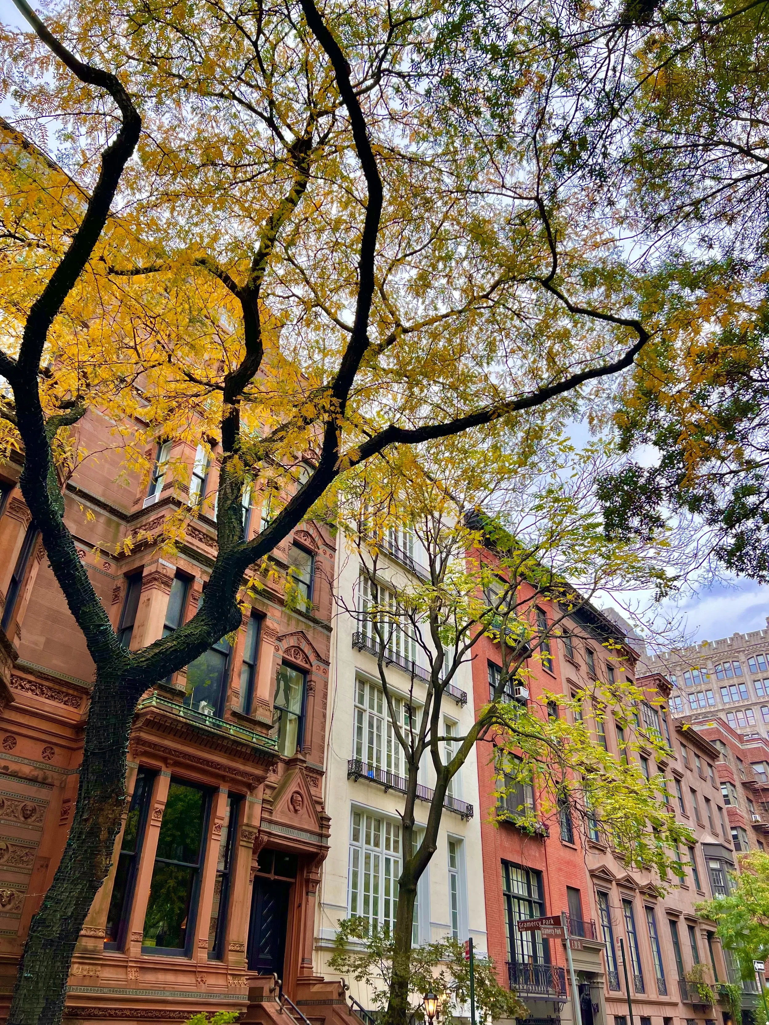 eZy Watermark_23-01-2026_11-19-55-2790PM.jpg