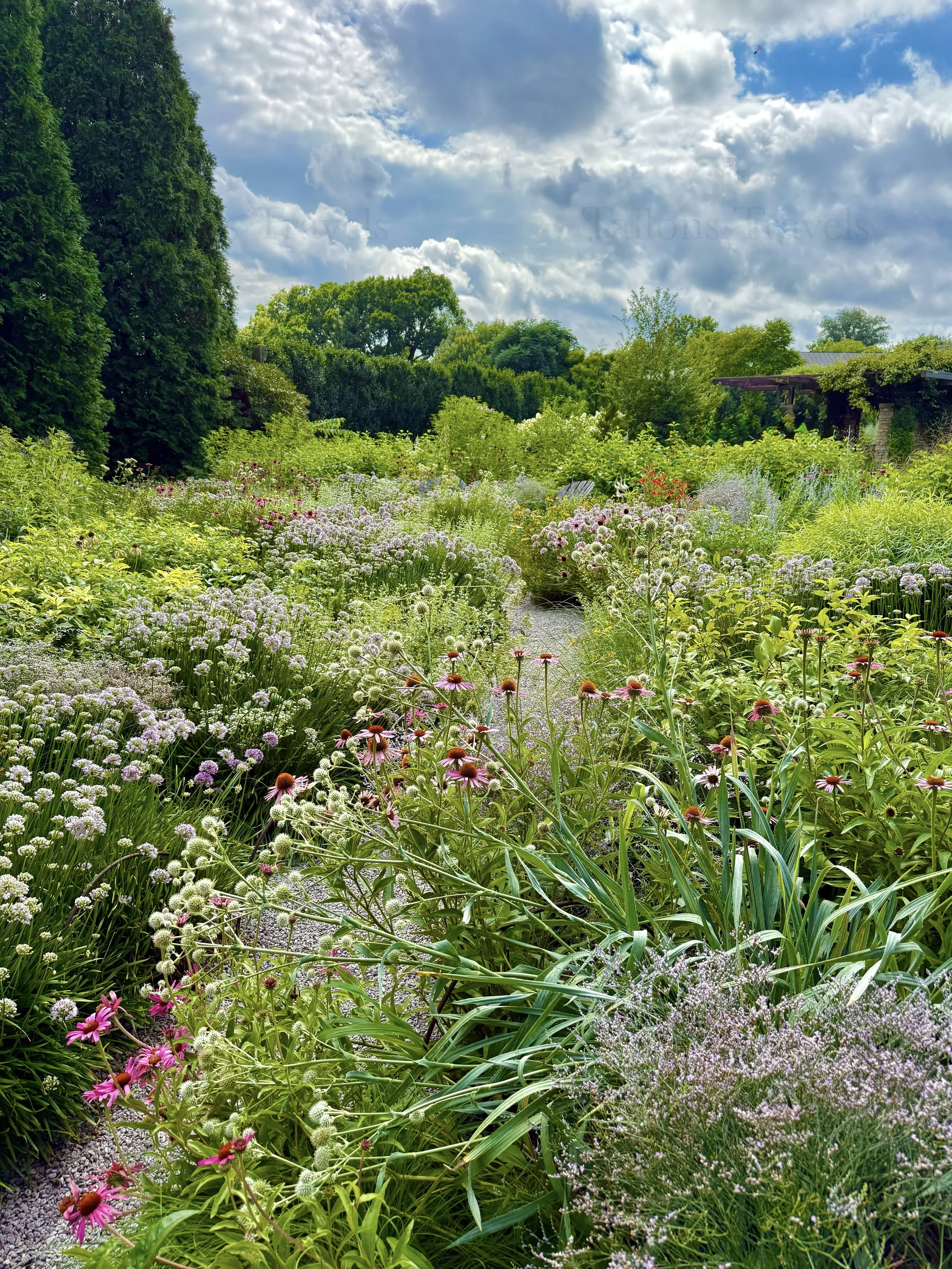 eZy Watermark_23-01-2026_10-39-32-2240PM.jpg