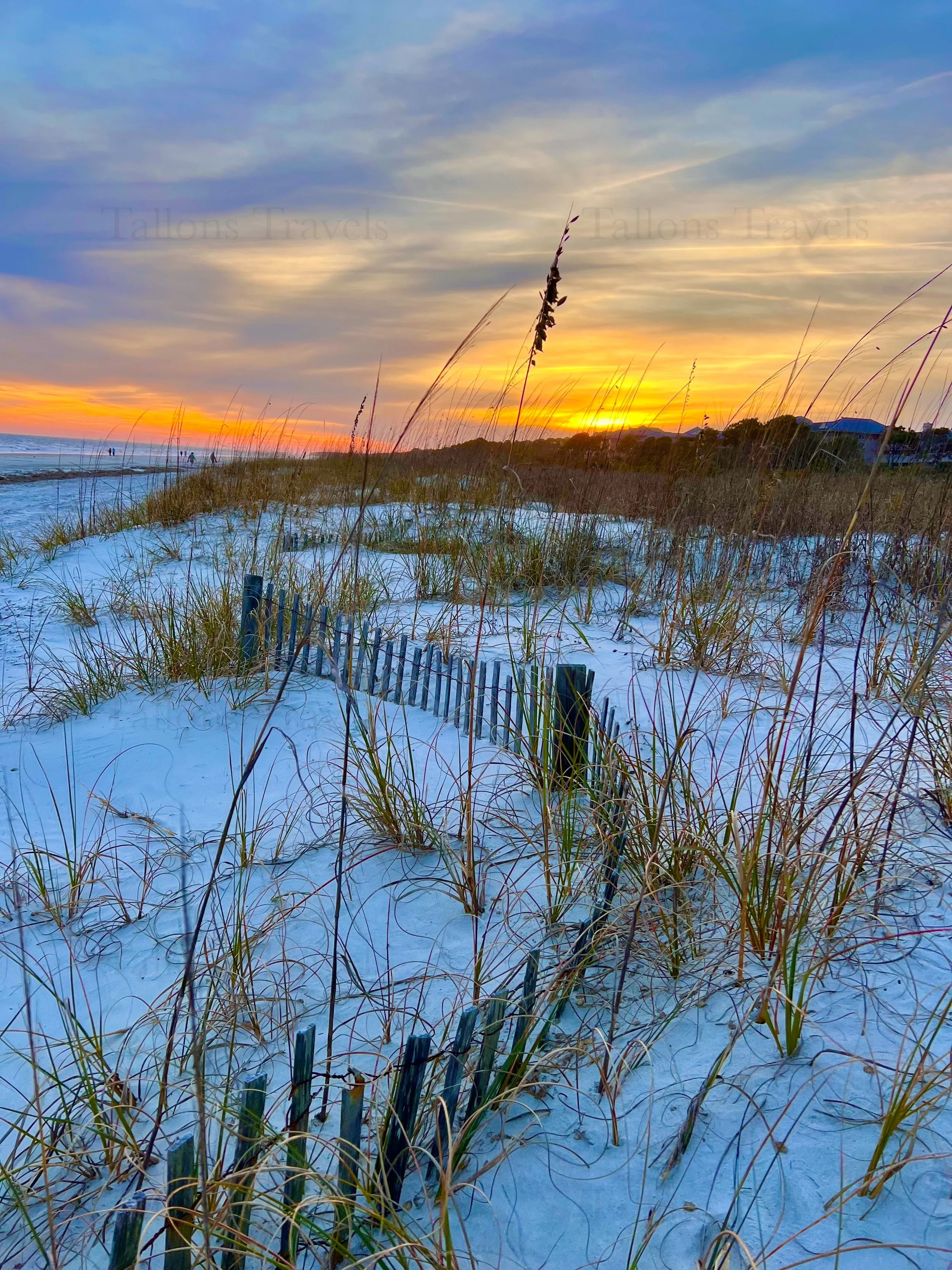 eZy Watermark_27-01-2026_10-08-45-7810PM.jpg