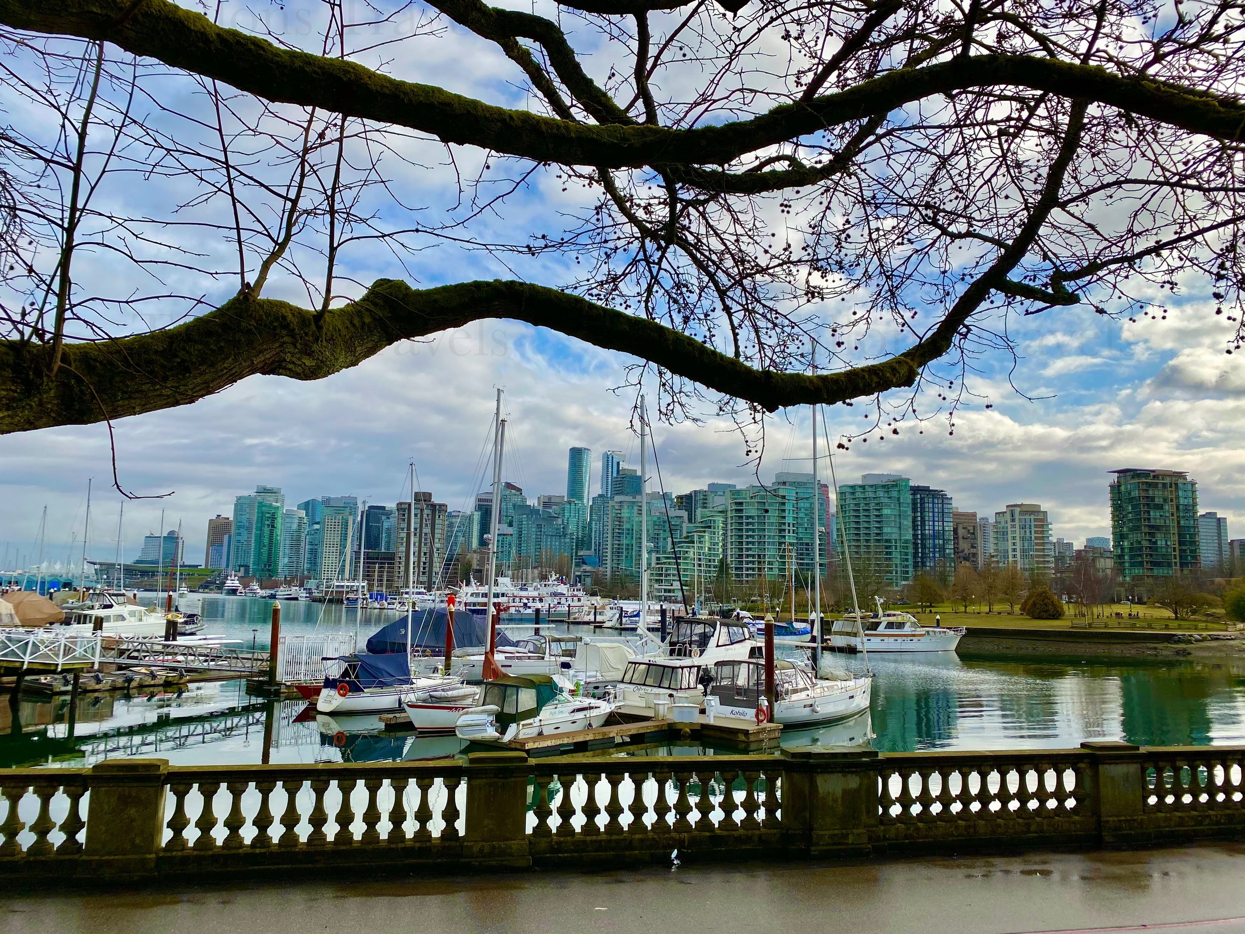 eZy Watermark_25-01-2026_03-28-27-3390PM.jpg