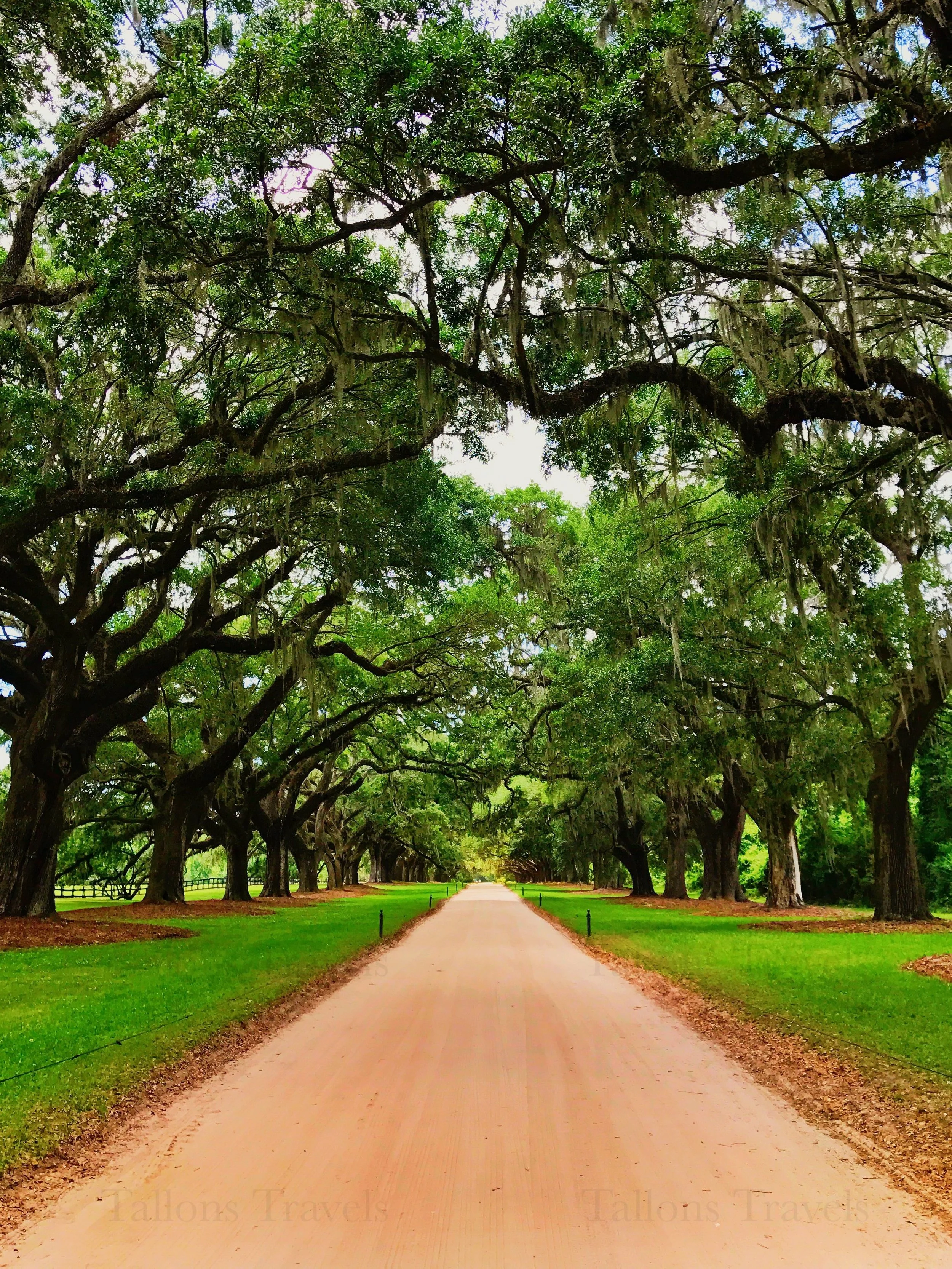 eZy Watermark_25-01-2026_08-24-17-7780PM.JPG