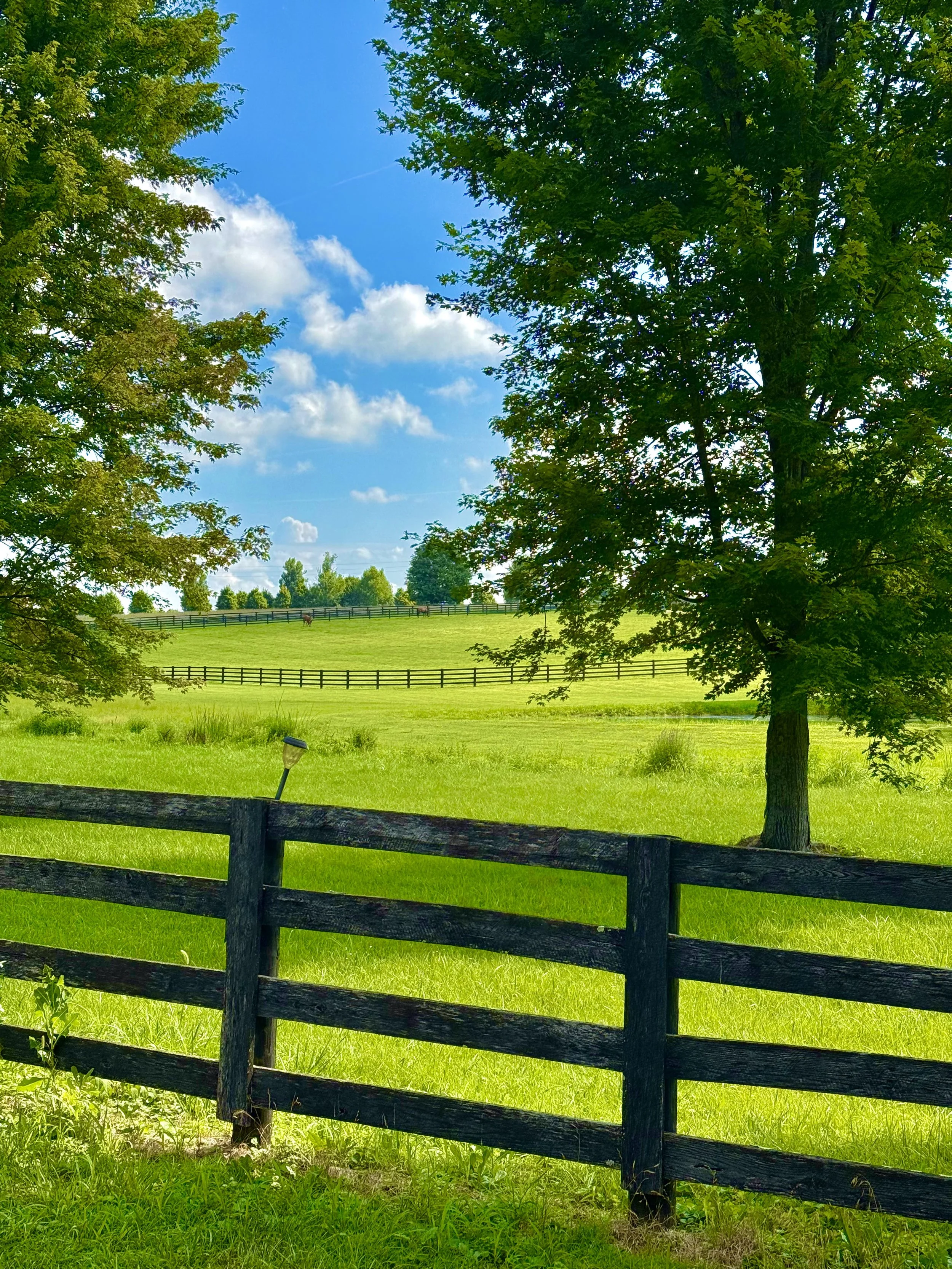 Kentucky