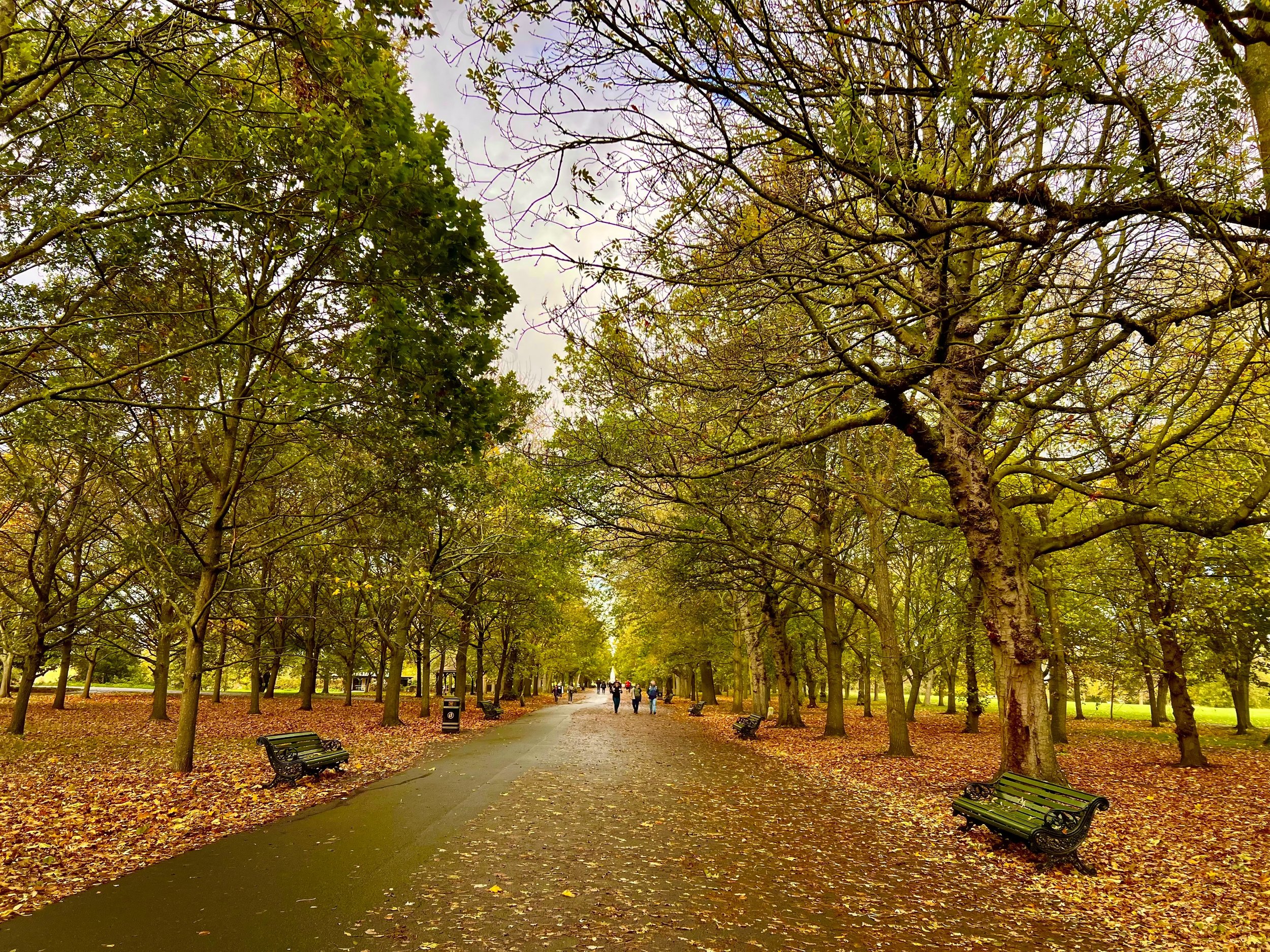 eZy Watermark_23-01-2026_01-42-47-4620PM.jpg