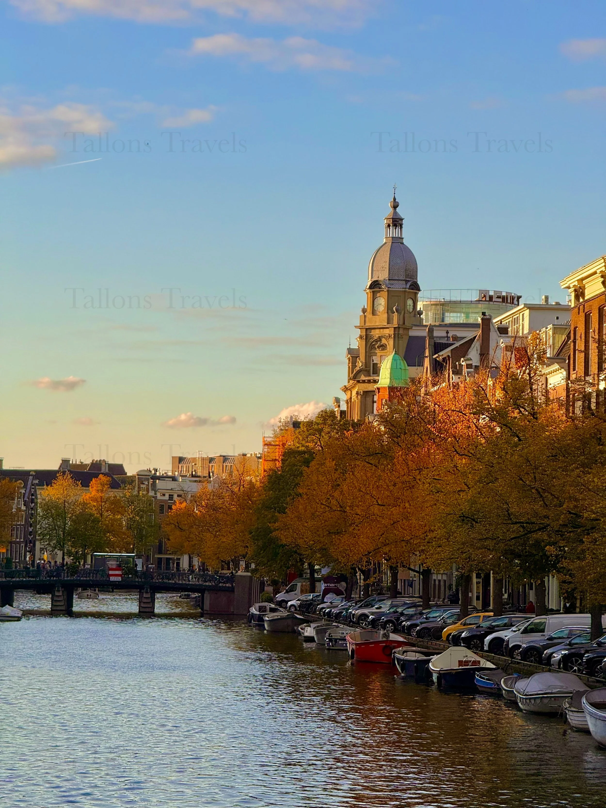 eZy Watermark_23-01-2026_11-37-31-9150AM.jpg