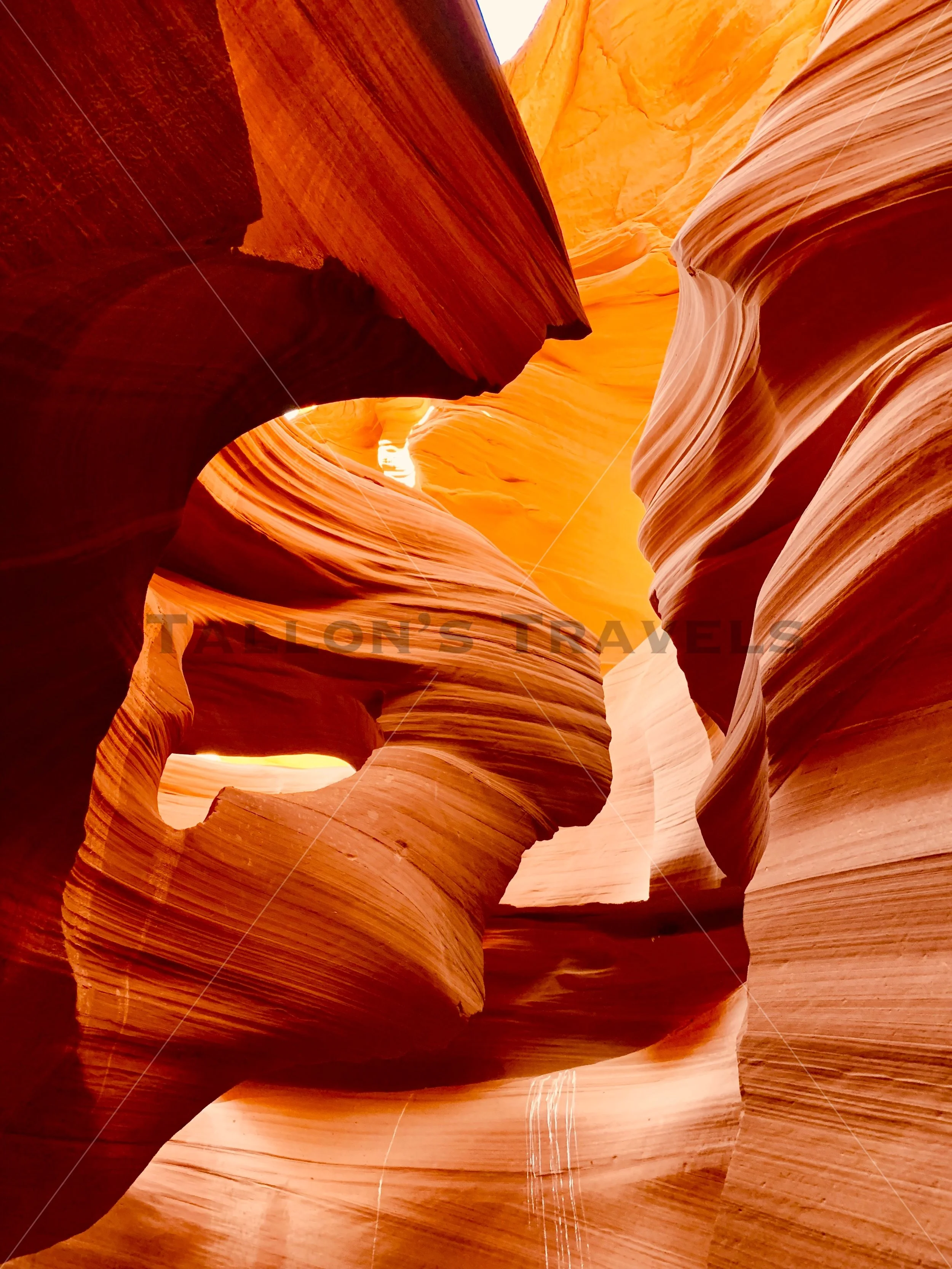 The Woman in the Wind